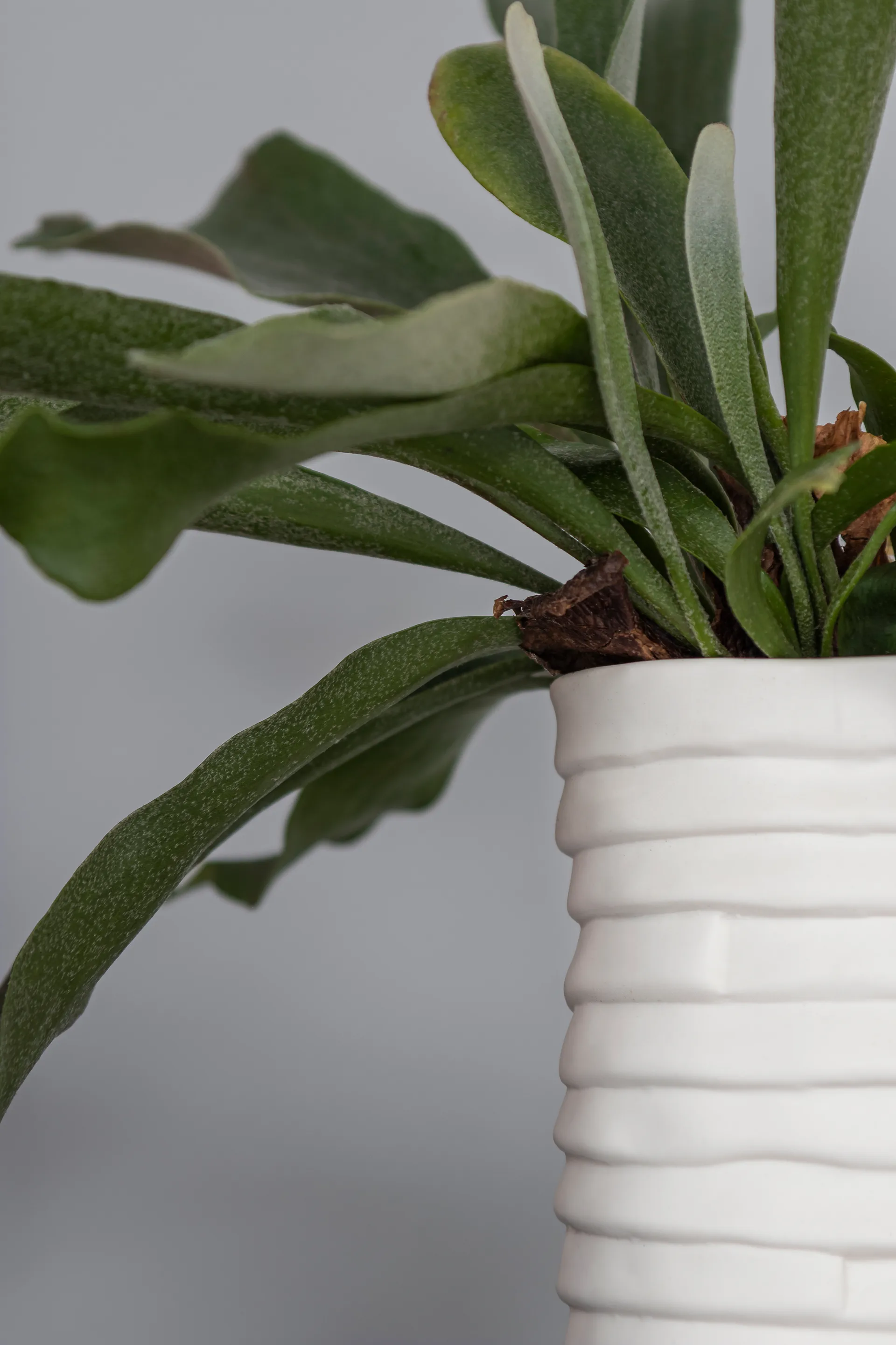 Vaso Ribbon grande 20 cm, Bianco sporco Mette Ditmer