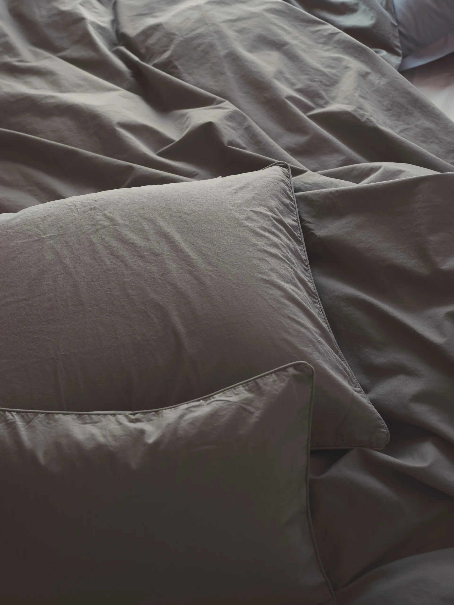 Federa Benevola, Grigio, 50x60 cm Mille Notti