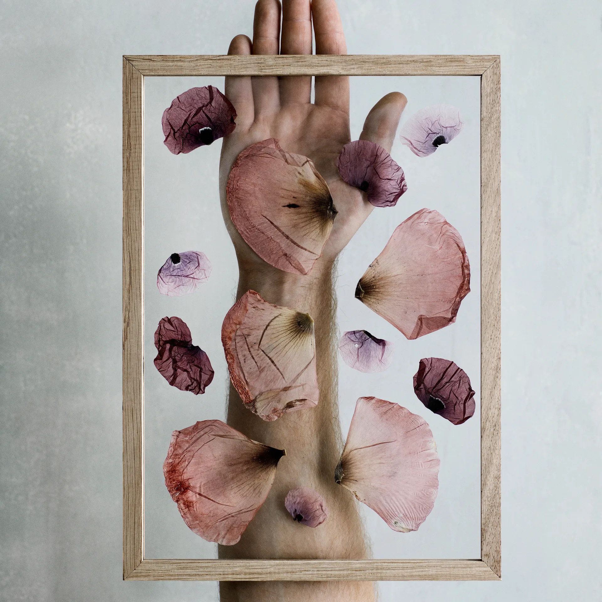 Cornice Moebe A4 23x31,7 cm, Rovere MOEBE