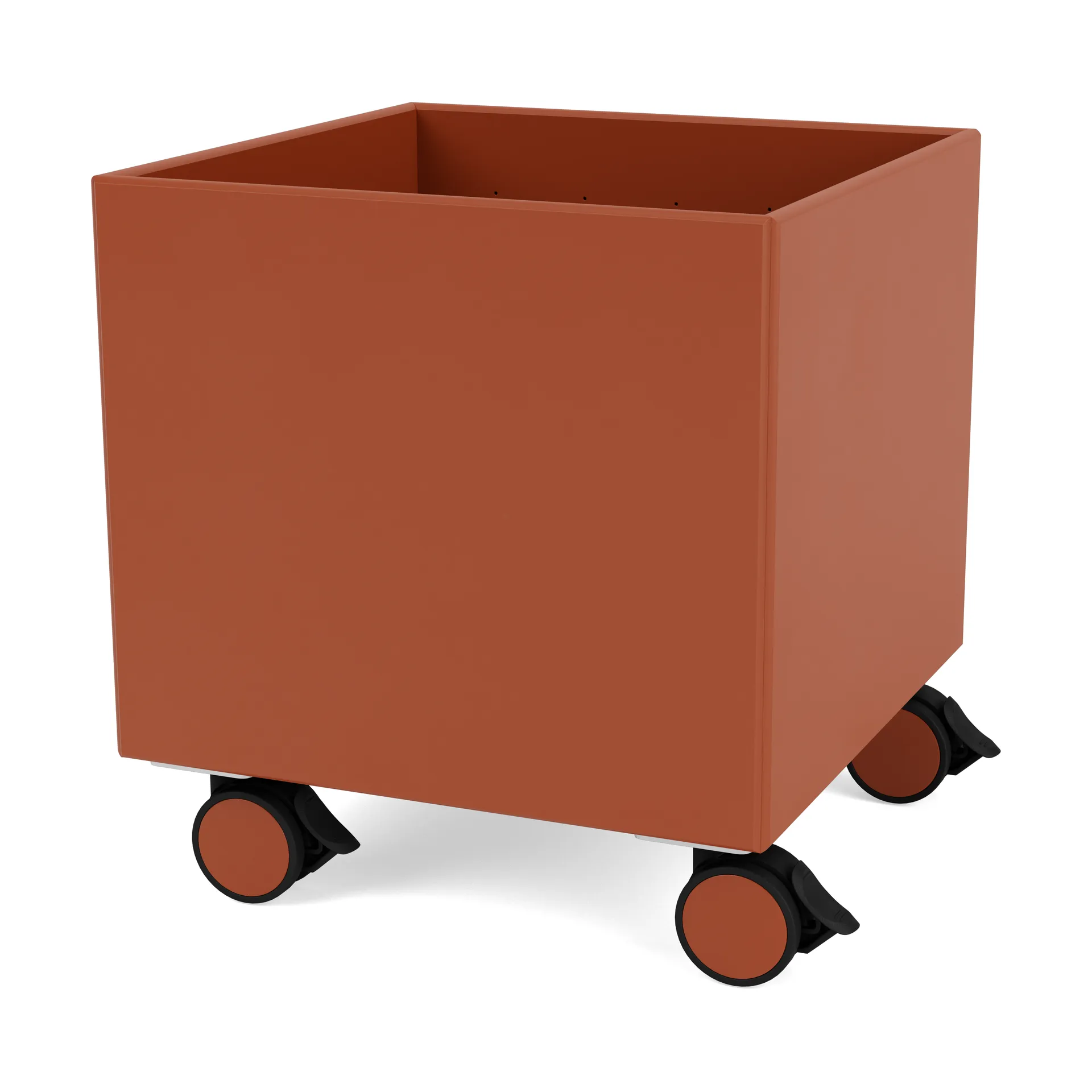 Colour Box I – S6161, Hokkaido Montana