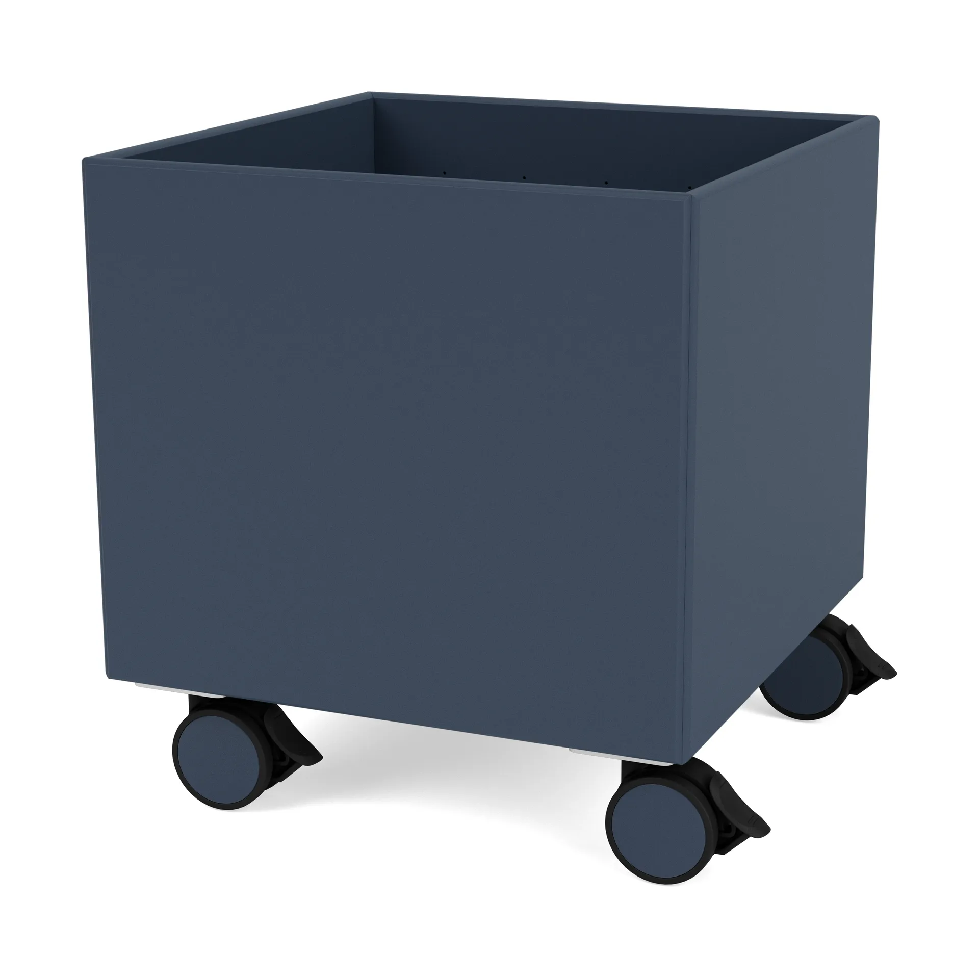 Colour Box I – S6161, Juniper Montana