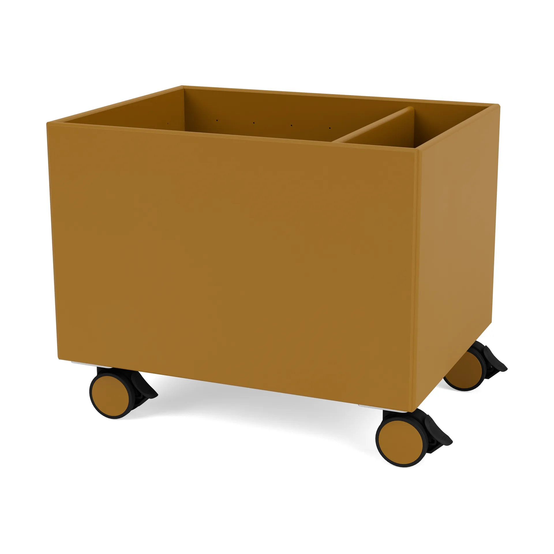 Scatola Colore II, Amber Montana