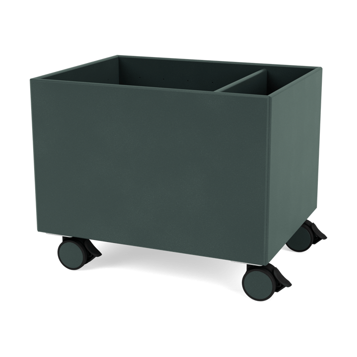 Scatola Colore II - BlackJade - Montana