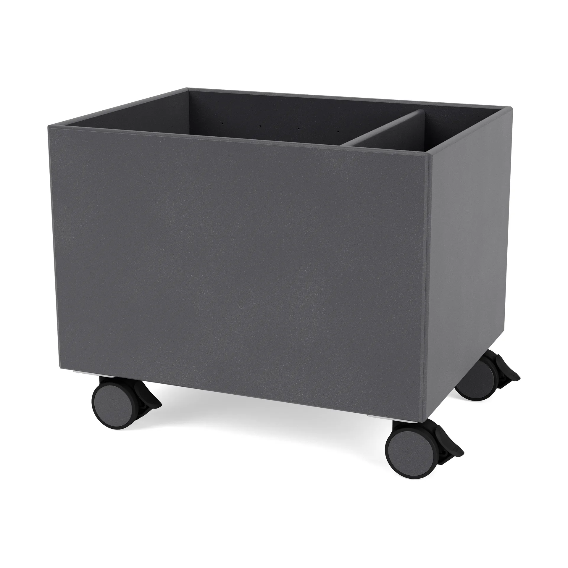 Scatola Colore II, Coal Montana