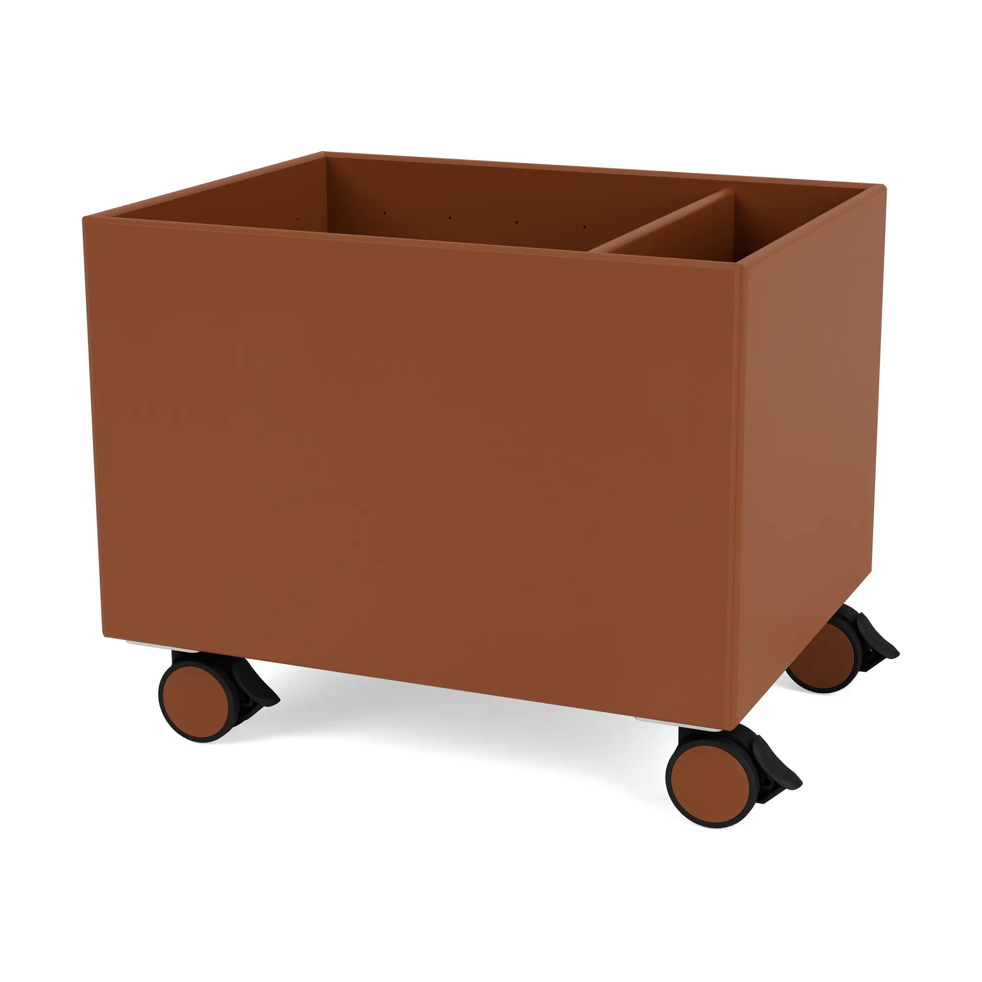 Scatola Colore II, Hazelnut Montana