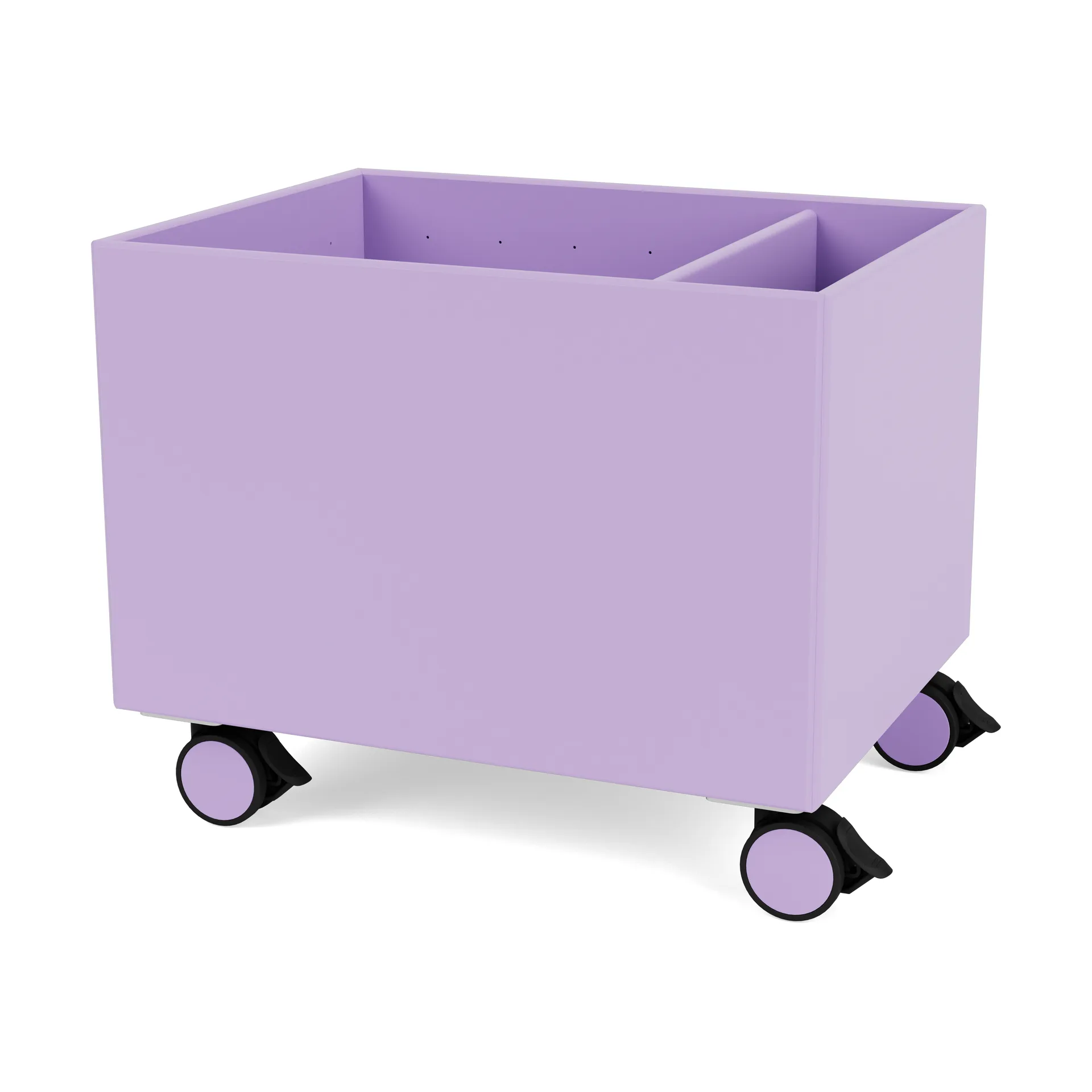 Scatola Colore II, Iris Montana