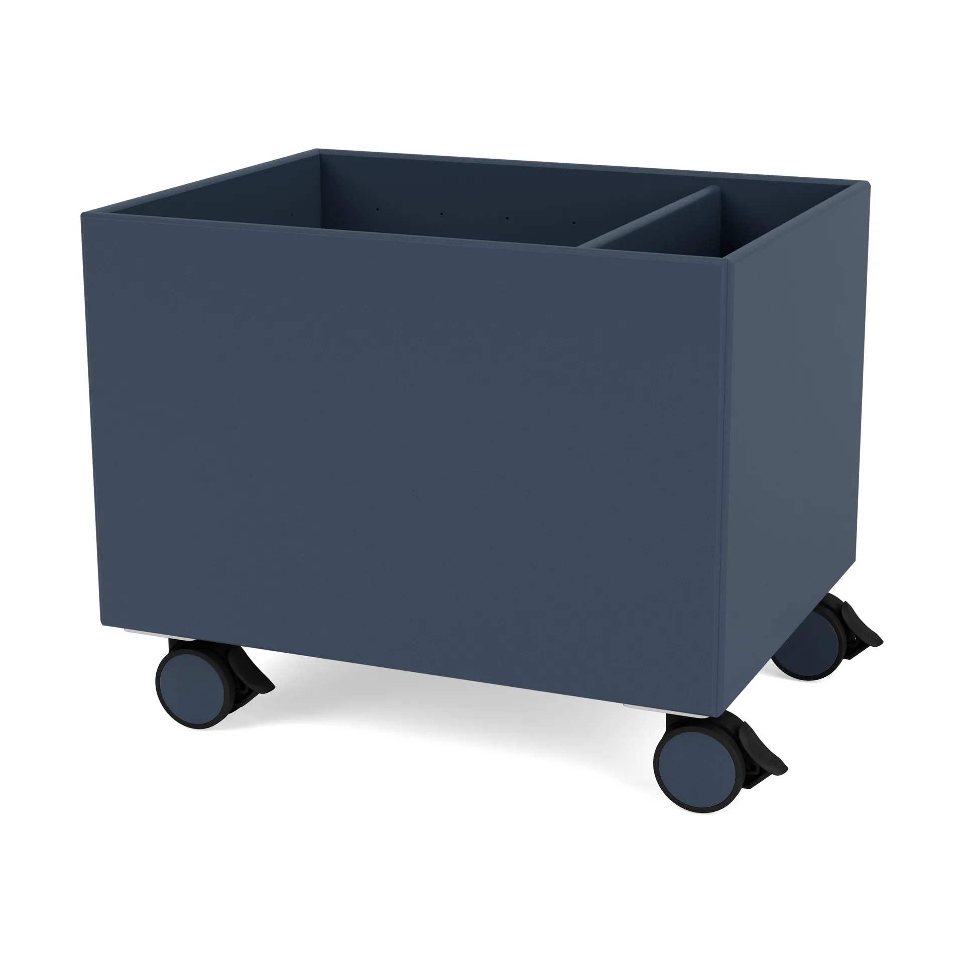 Scatola Colore II, Juniper Montana