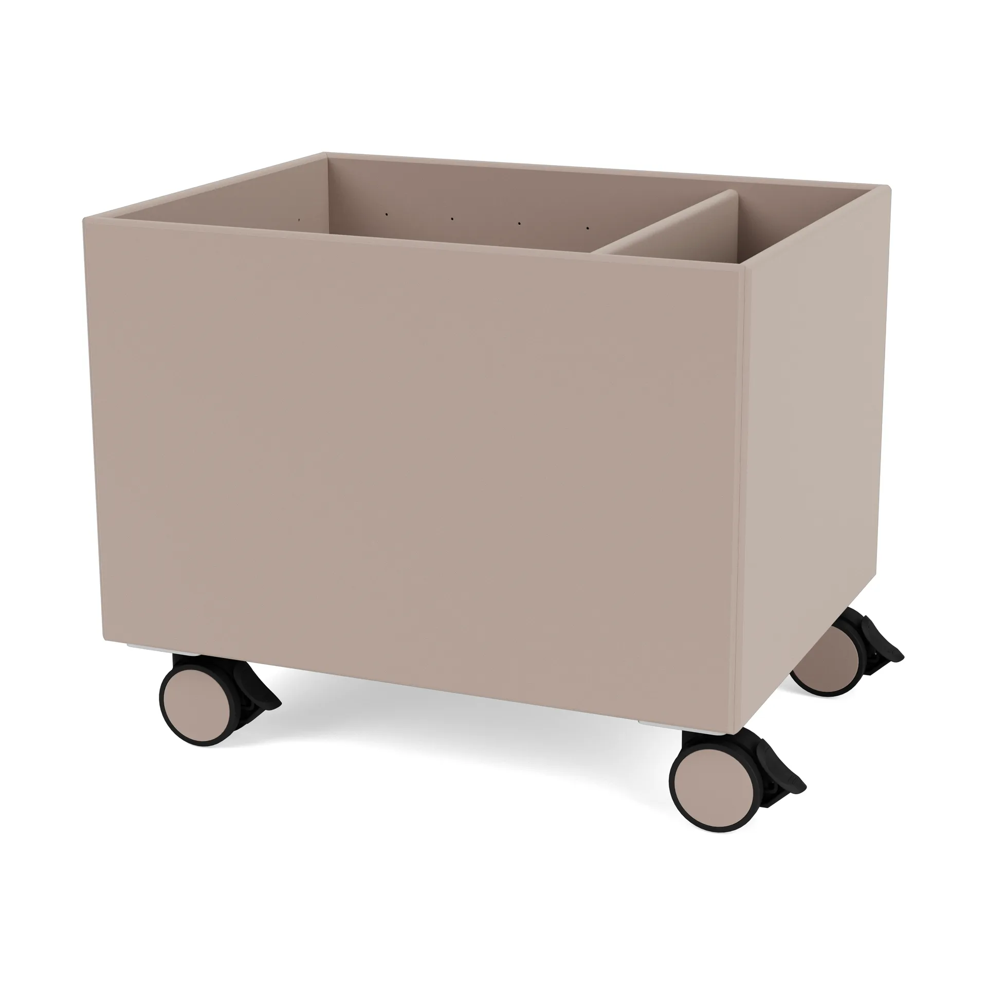 Scatola Colore II, Mushroom Montana