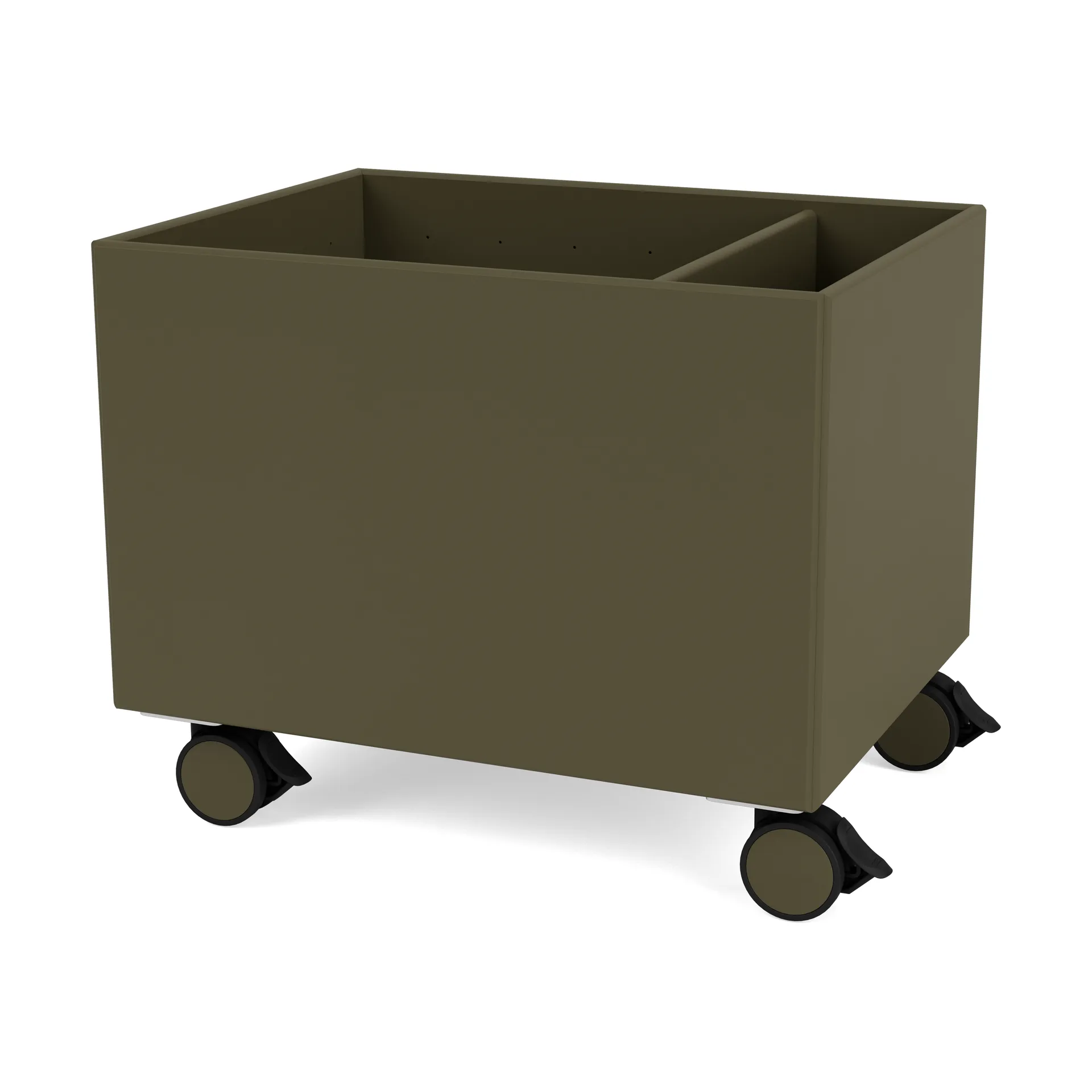 Scatola Colore II, Oregano Montana