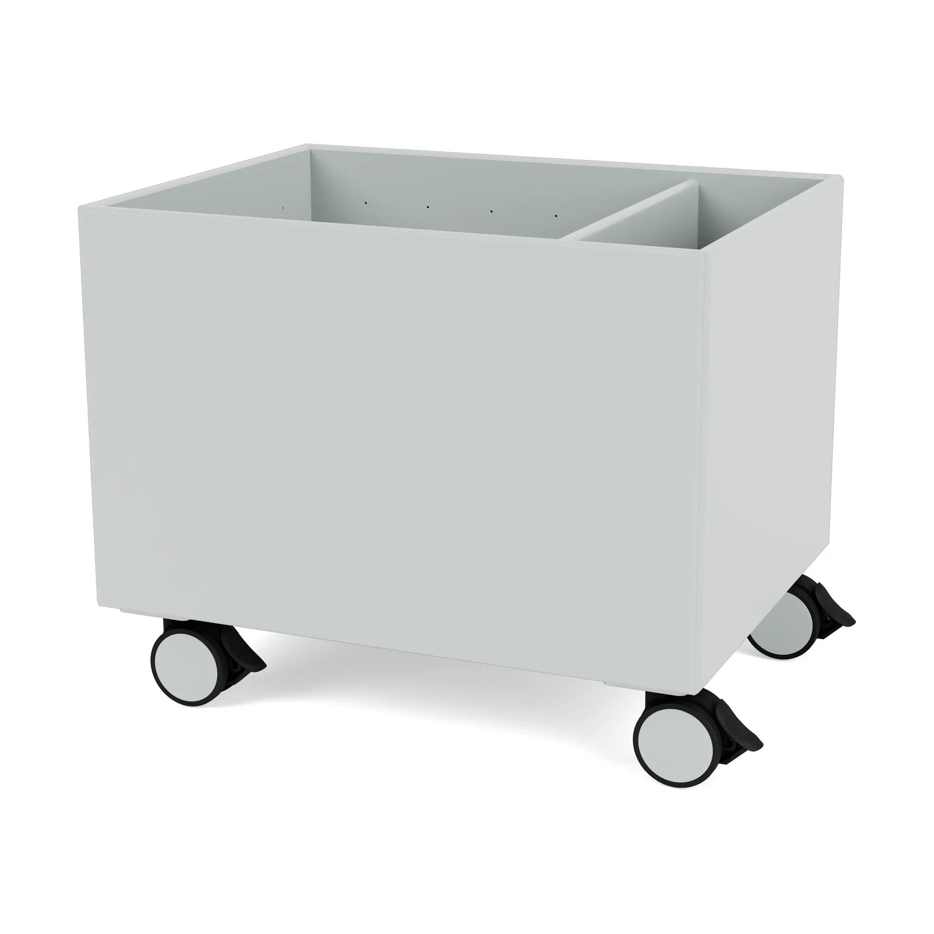 Scatola Colore II, Oyster Montana