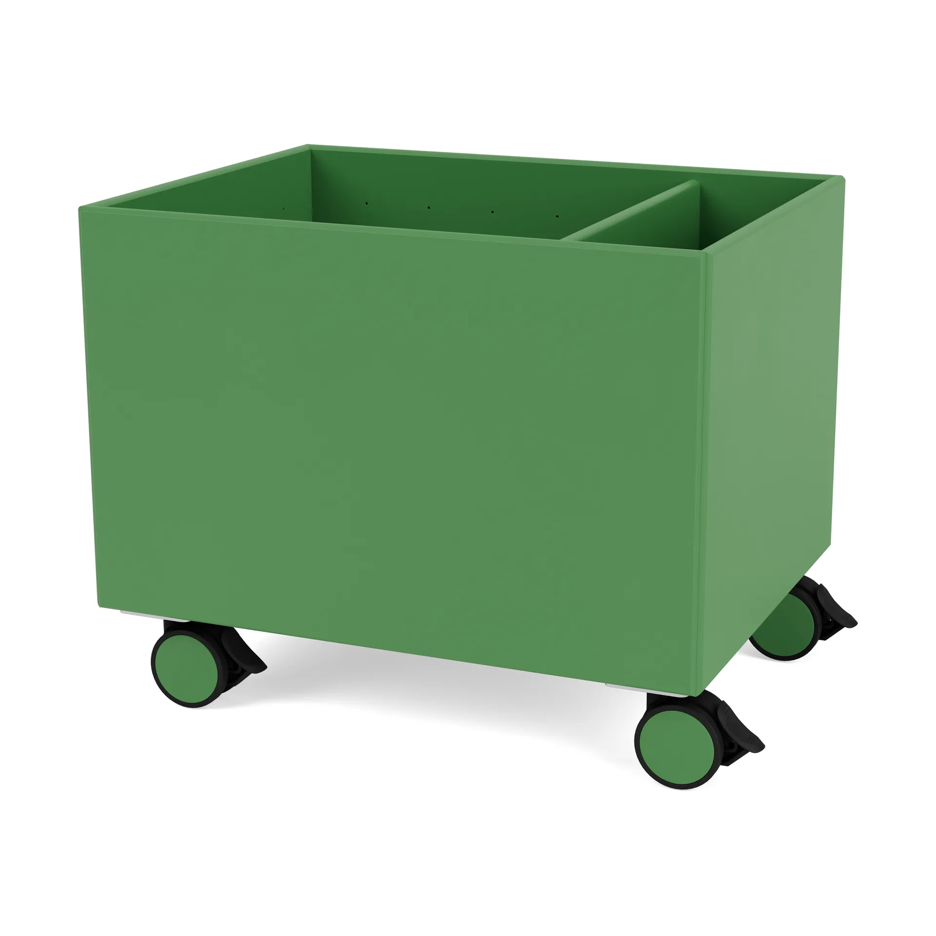 Scatola Colore II, Parsley Montana