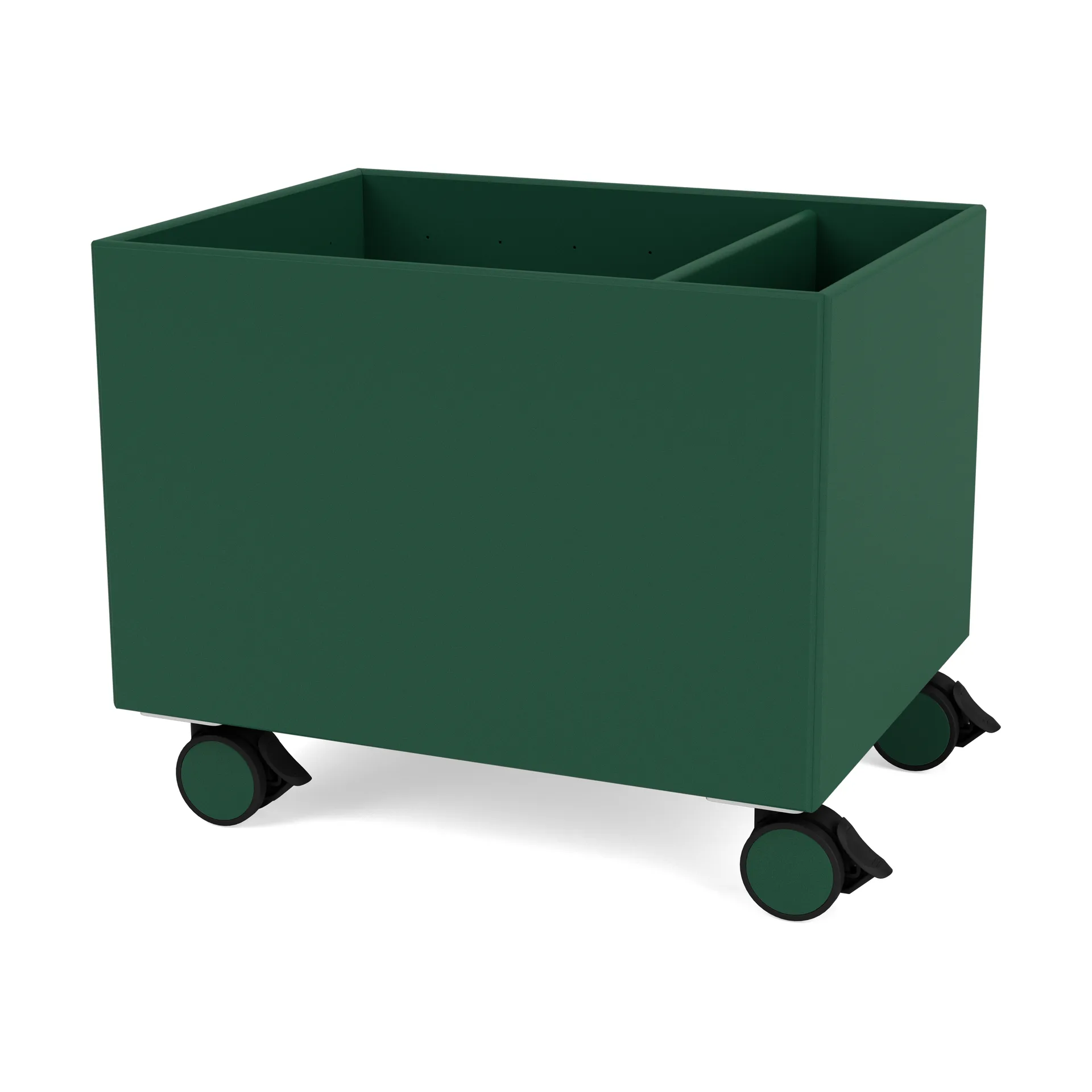 Scatola Colore II, Pine Montana