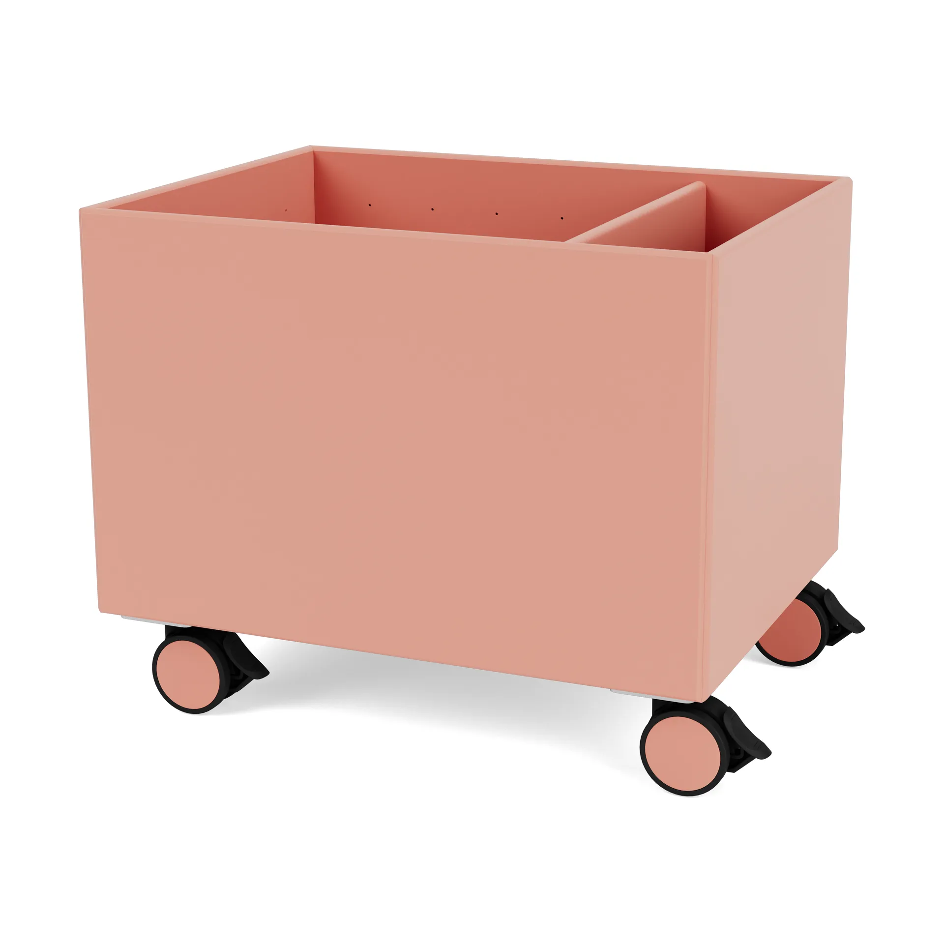 Scatola Colore II, Rhubarb Montana