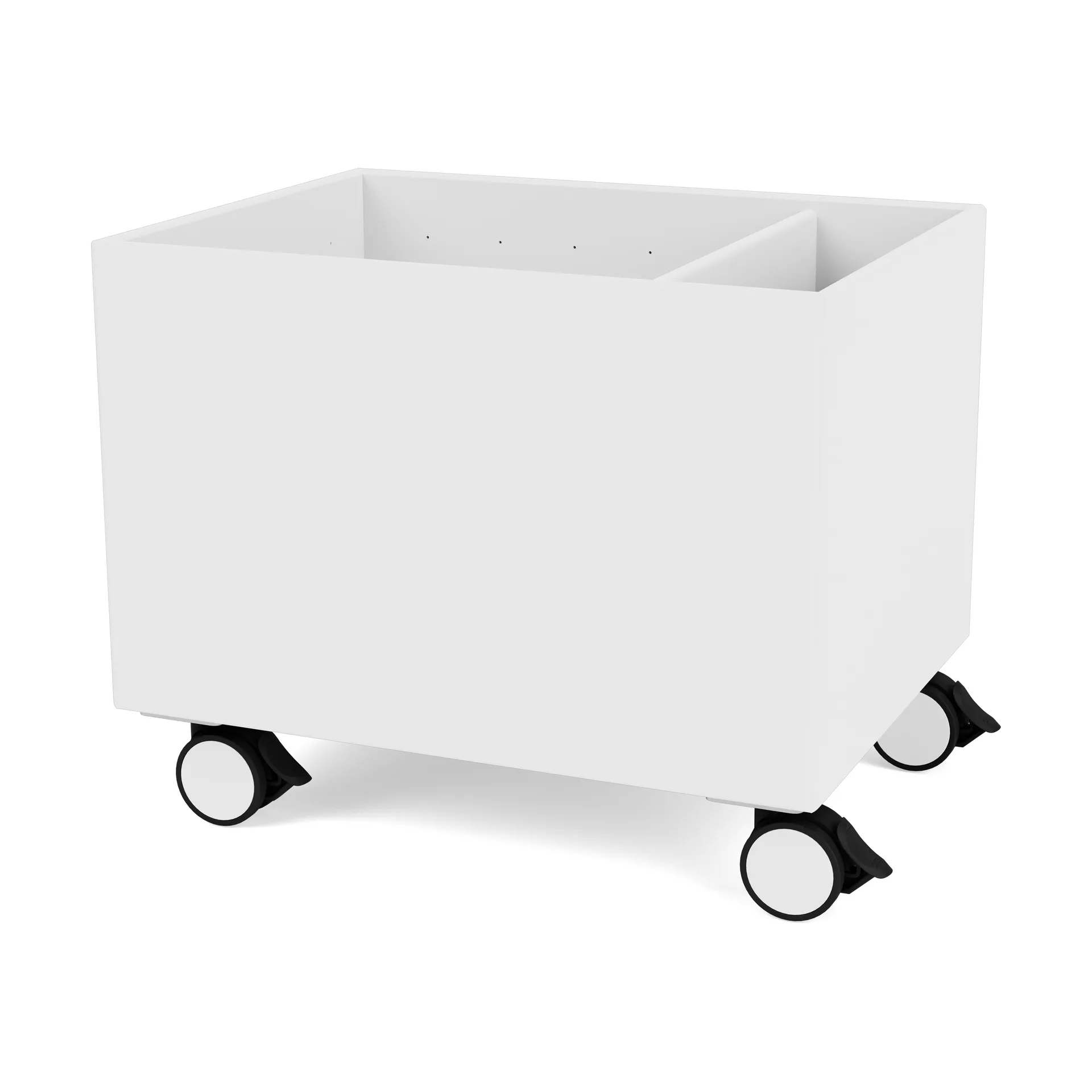 Scatola Colore II, Snow Montana