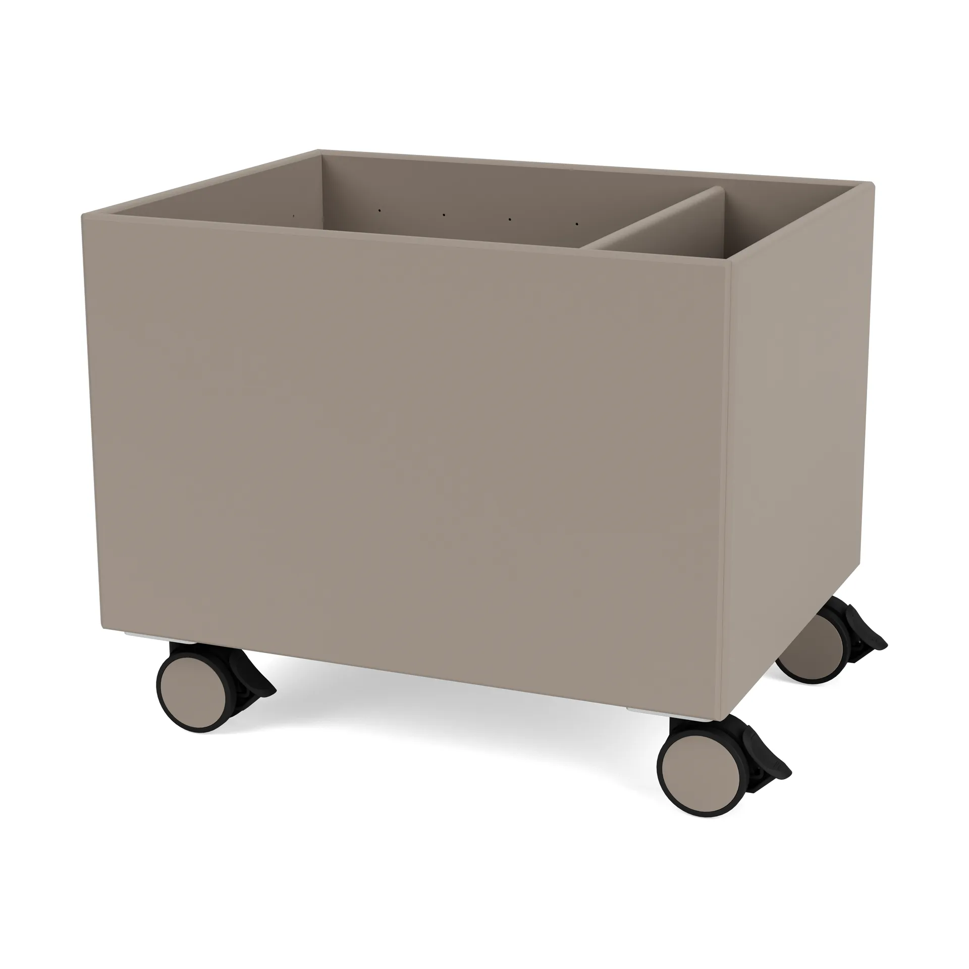 Scatola Colore II, Truffle Montana