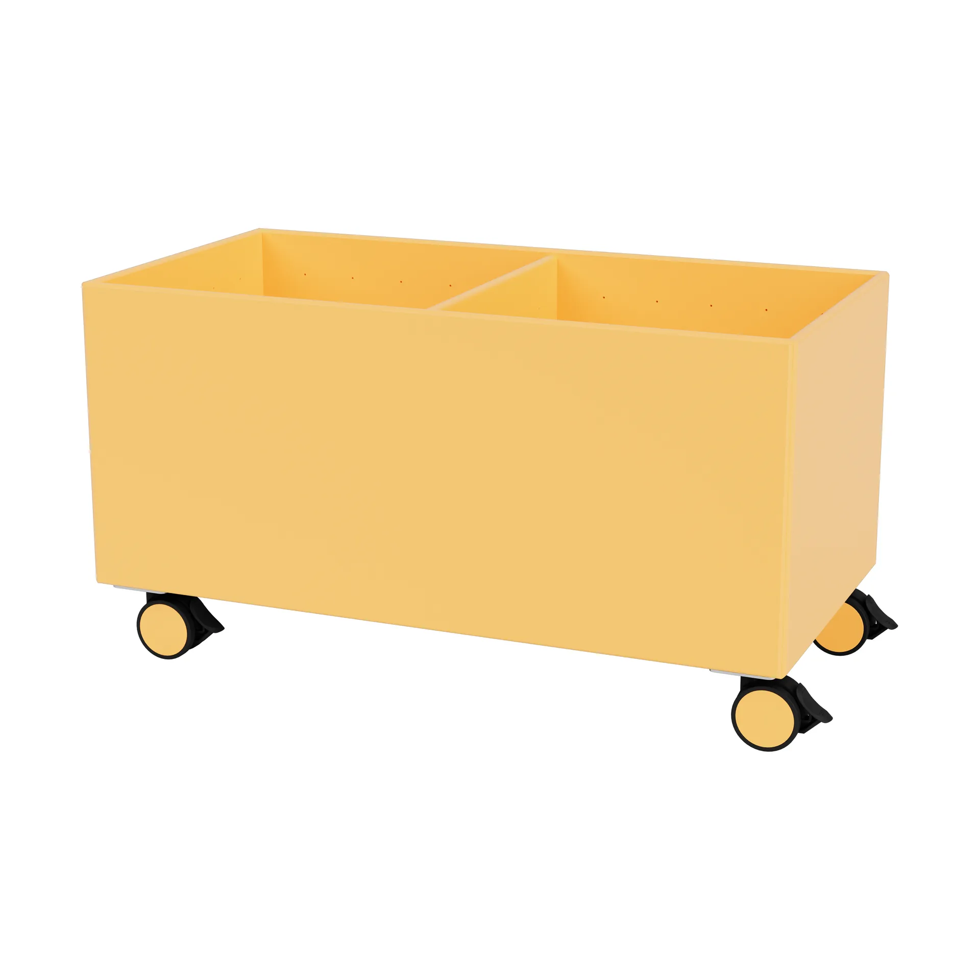 Scatola di colore III, Acacia Montana