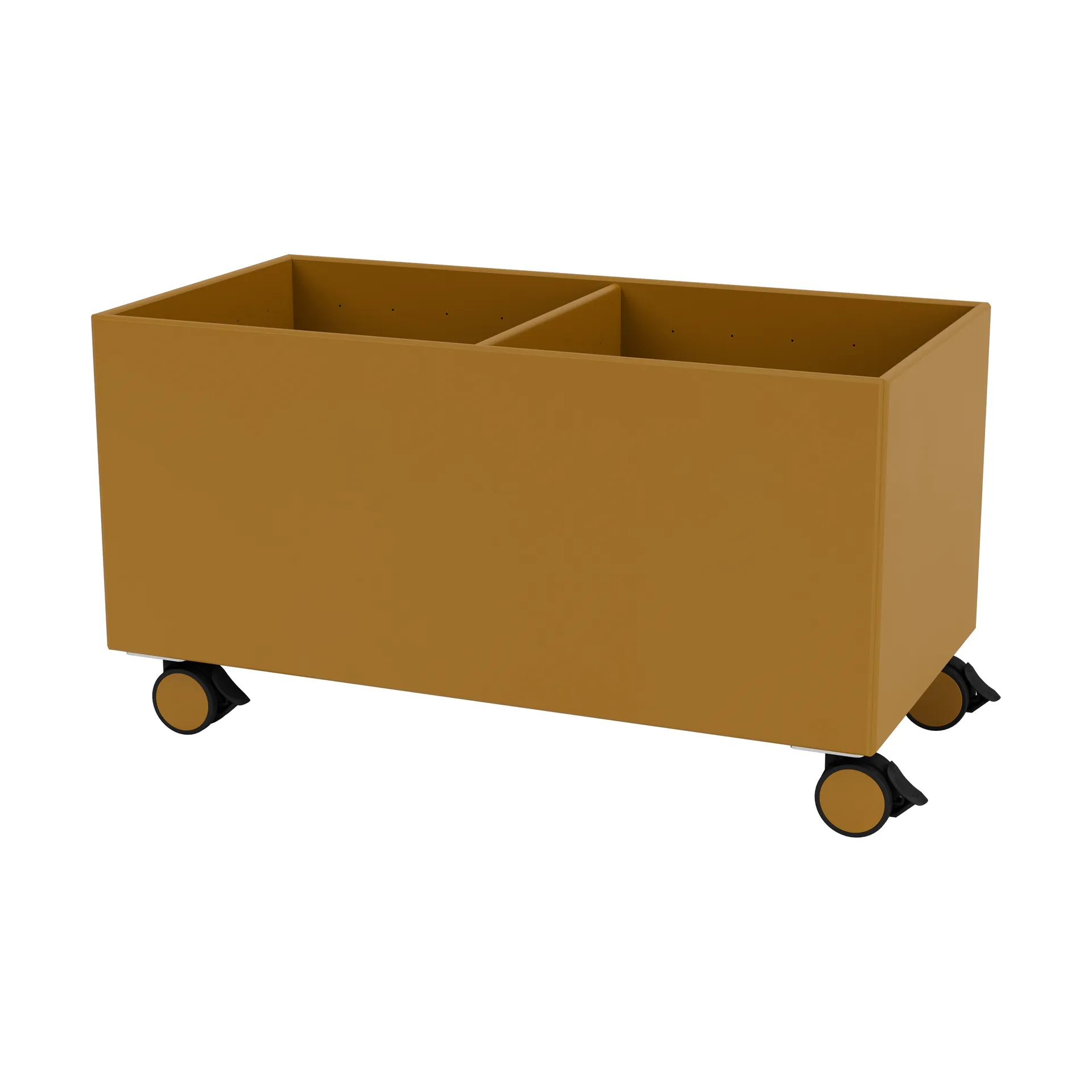 Scatola di colore III, Amber Montana