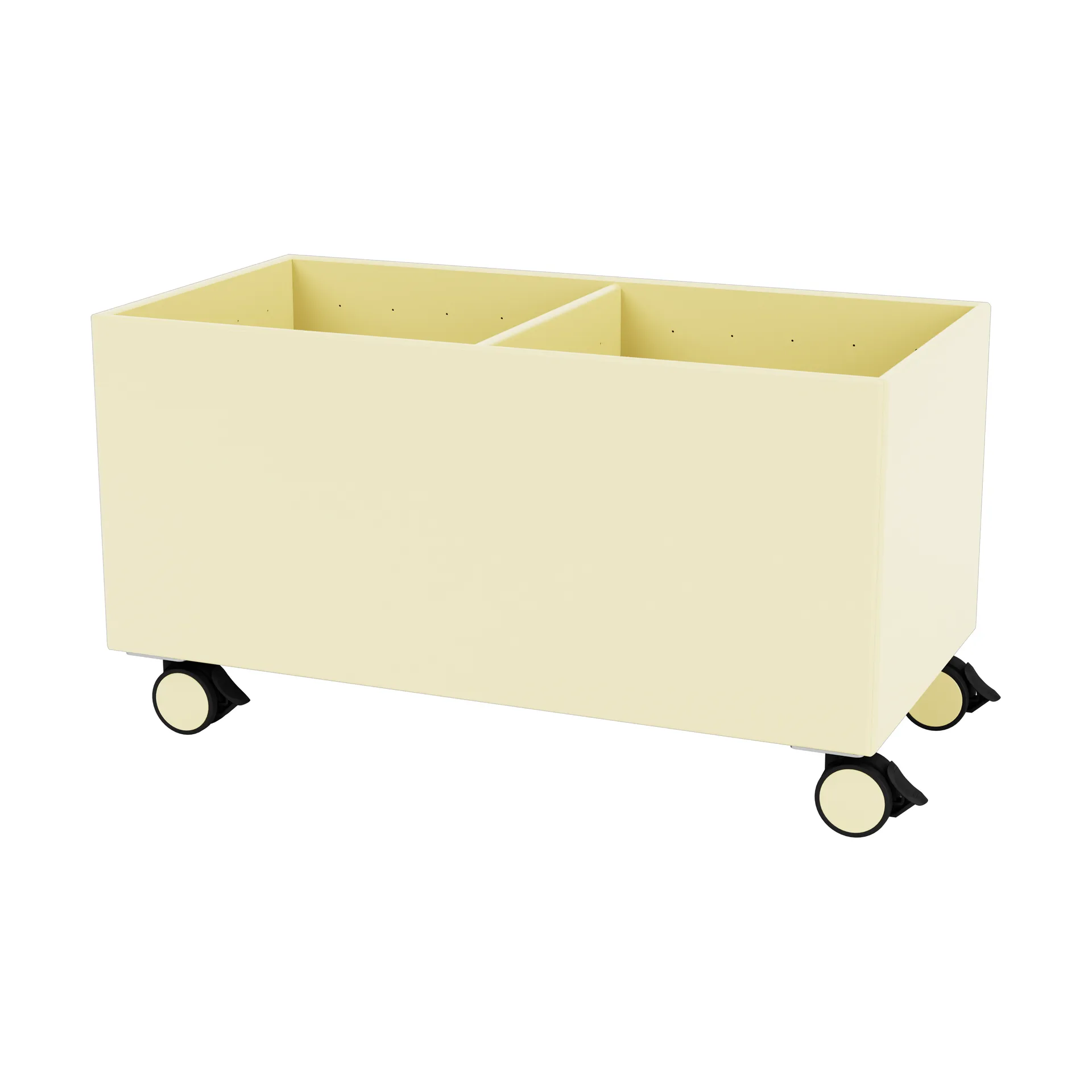 Scatola di colore III, Camomile Montana