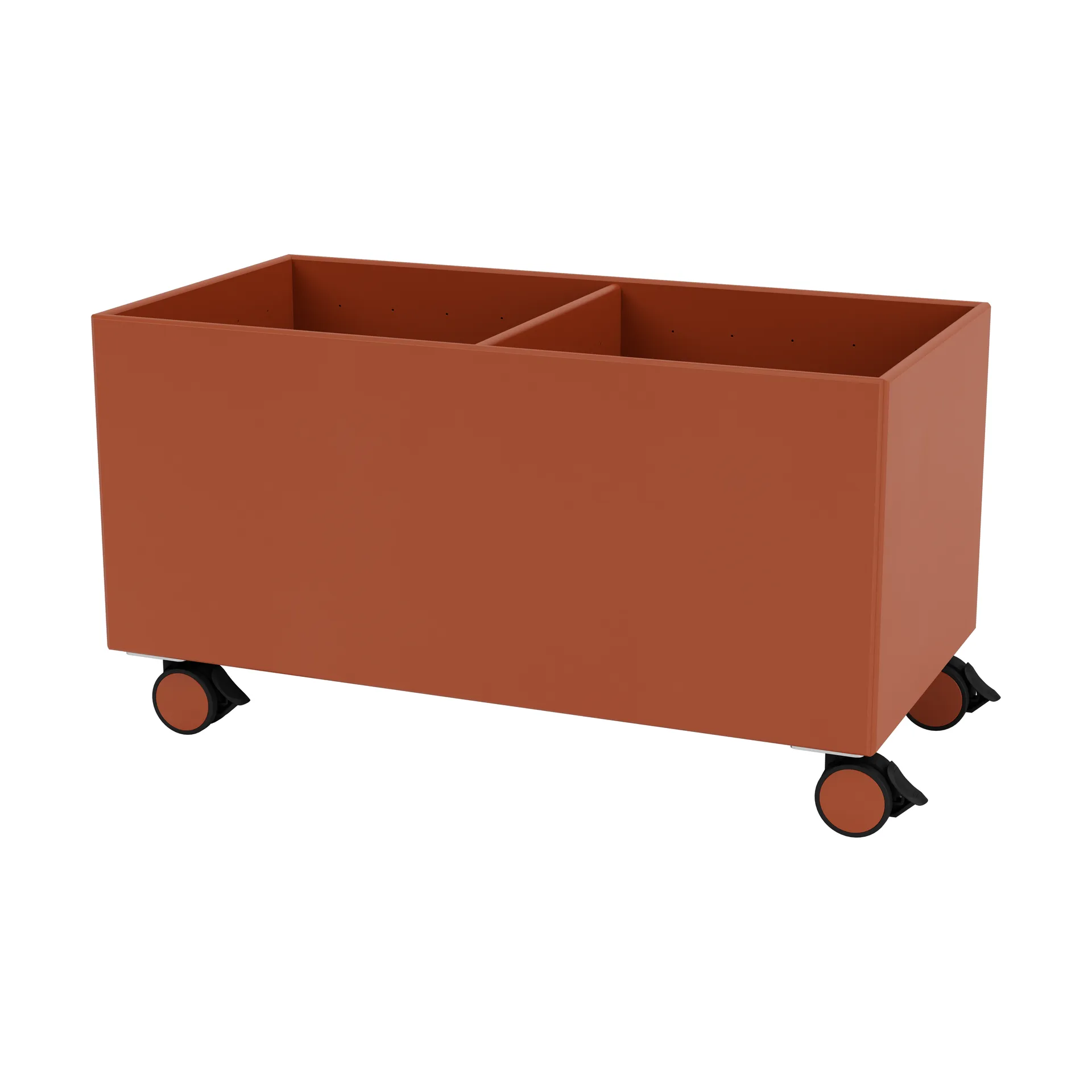 Scatola di colore III, Hokkaido Montana