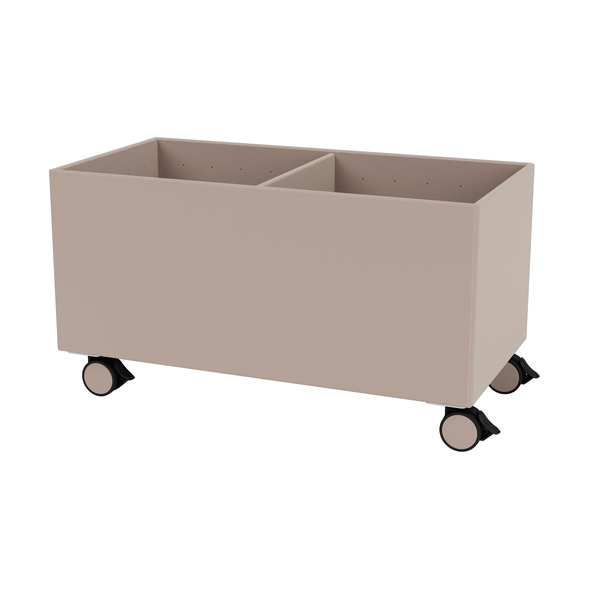 Scatola di colore III, Mushroom Montana