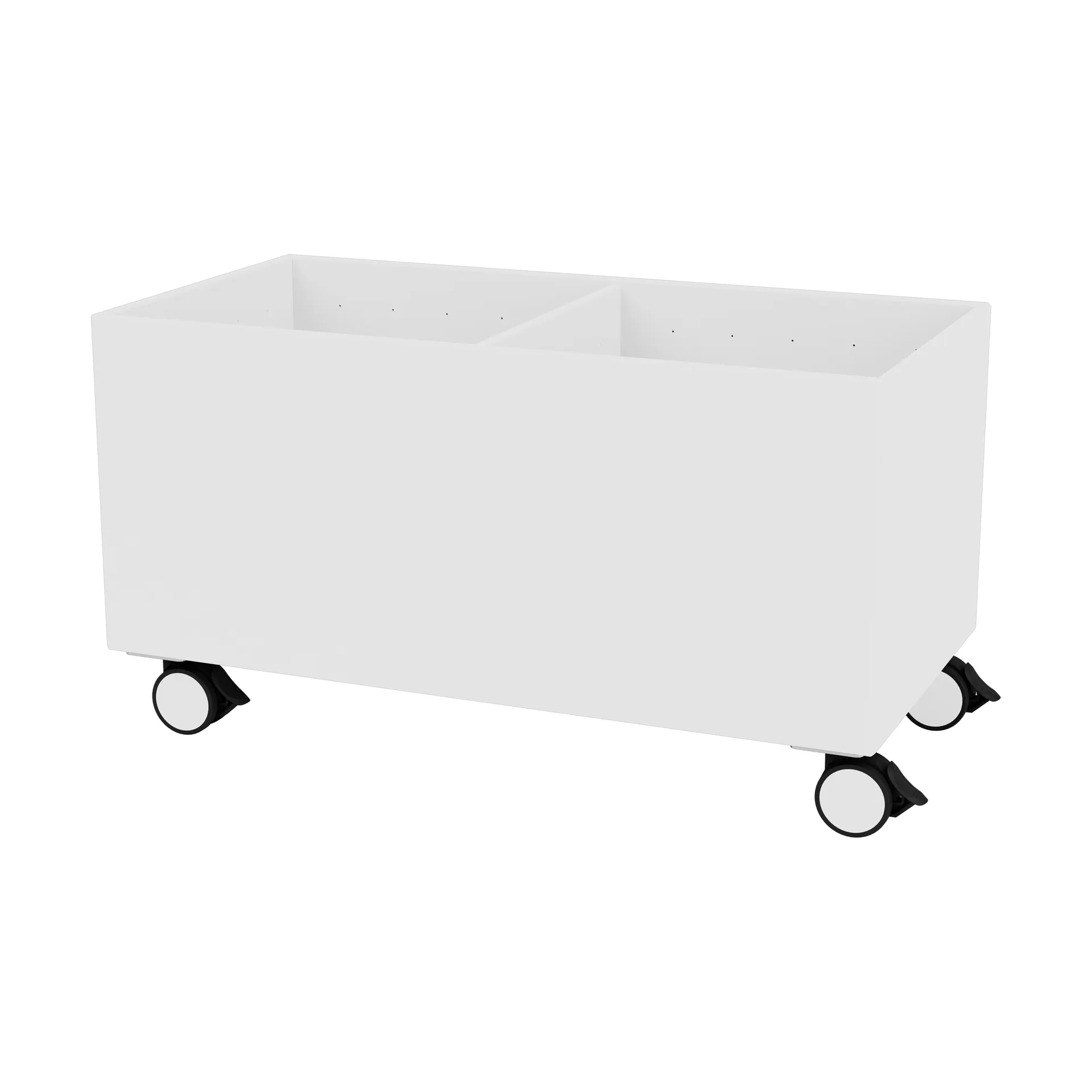 Scatola di colore III, NewWhite Montana