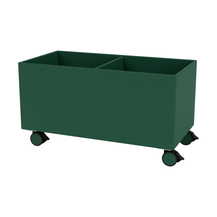 Scatola di colore III - Pine - Montana