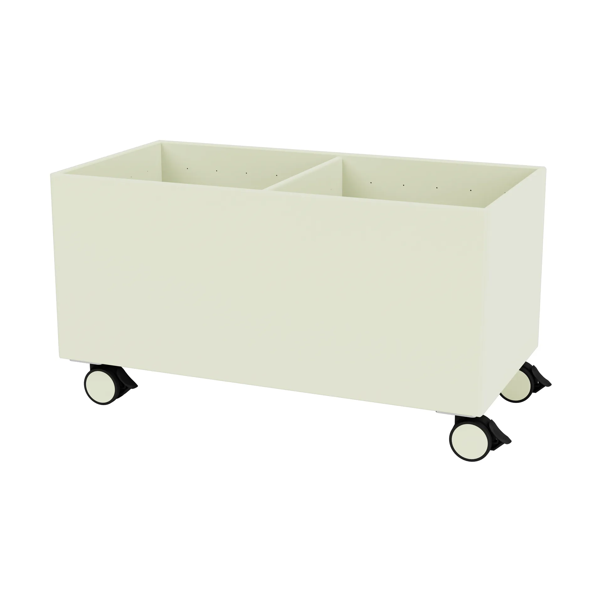 Scatola di colore III, Pomelo Montana