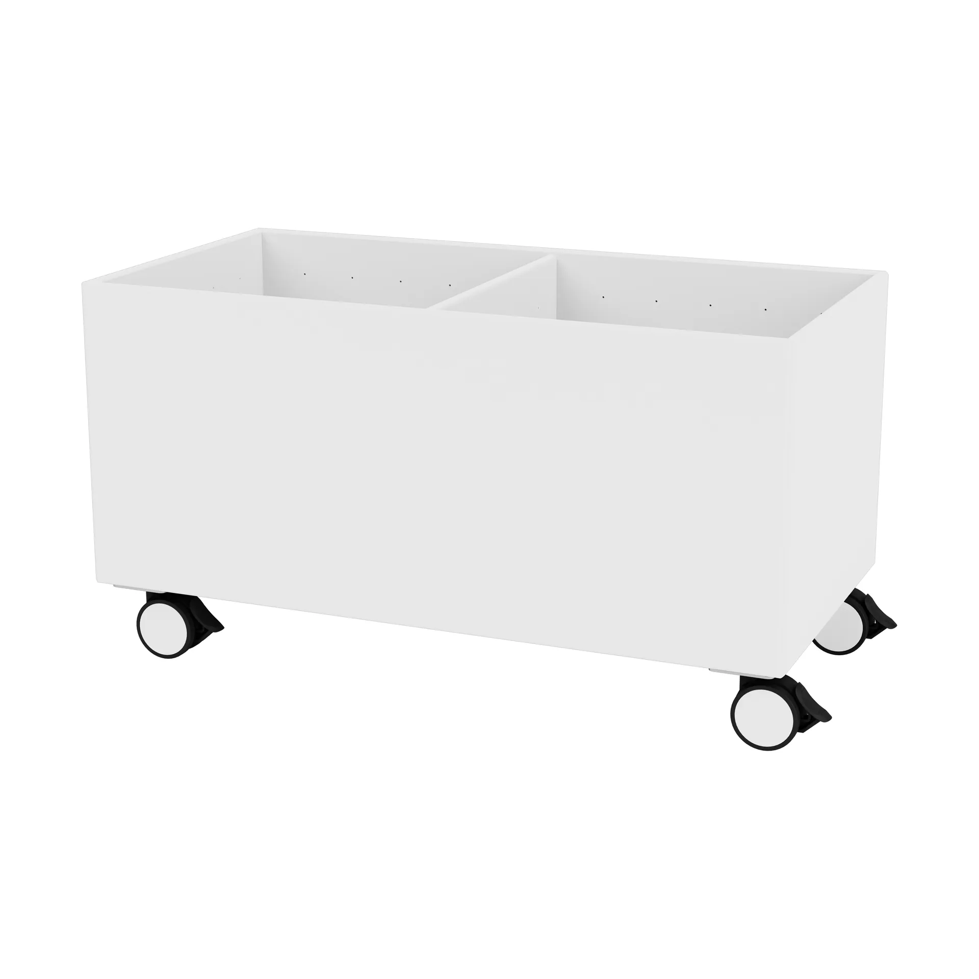 Scatola di colore III, Snow Montana