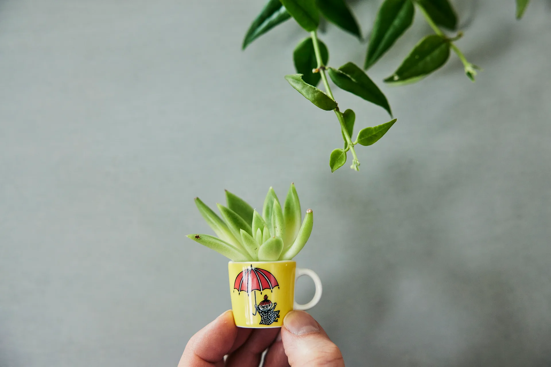 Mini tazze Moomin confezione da 6 terza classic, Multicolore Moomin Arabia