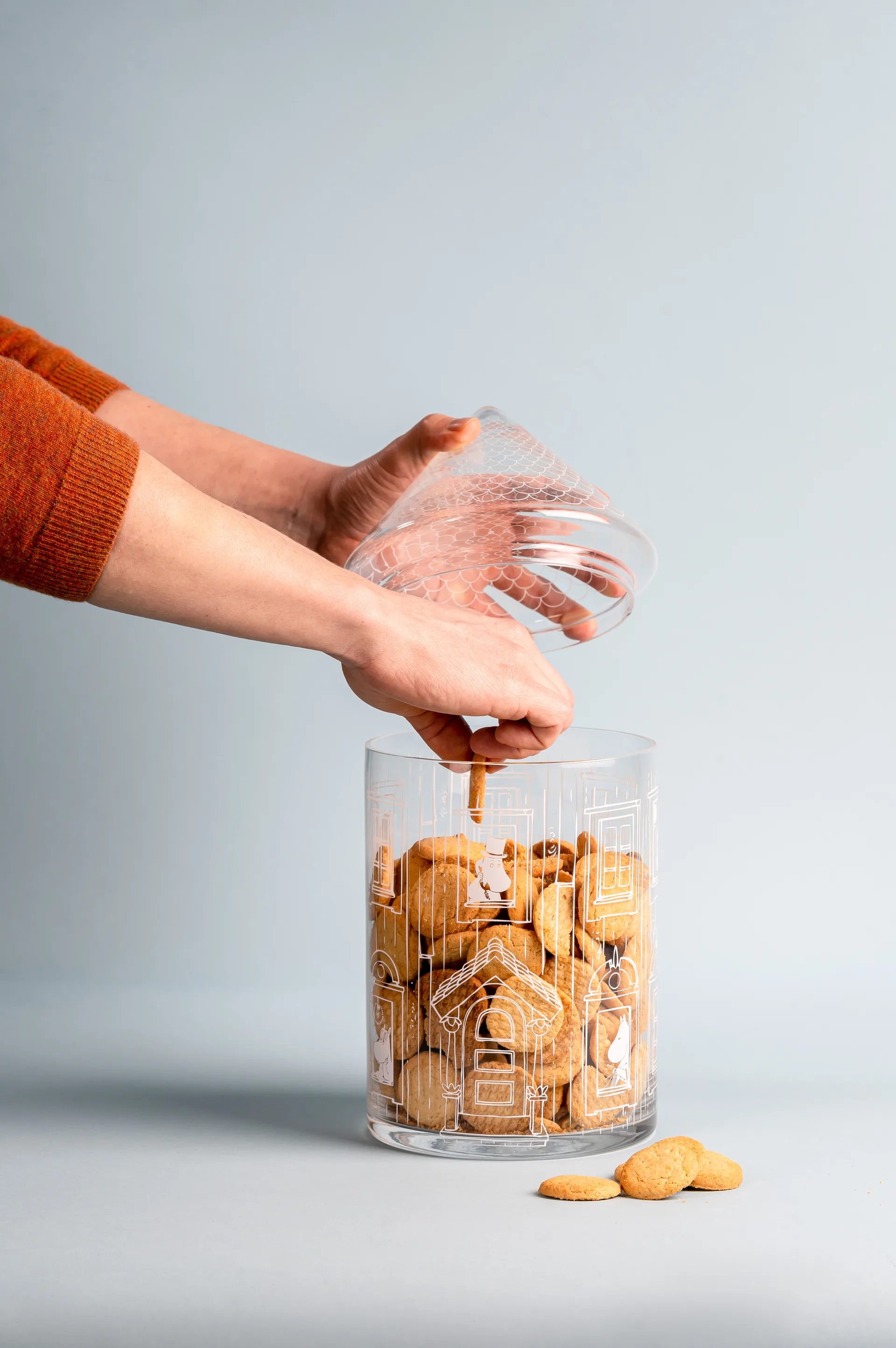 Barattolo di vetro Muminhouse con coperchio, 30,5 cm, Trasparente Muurla