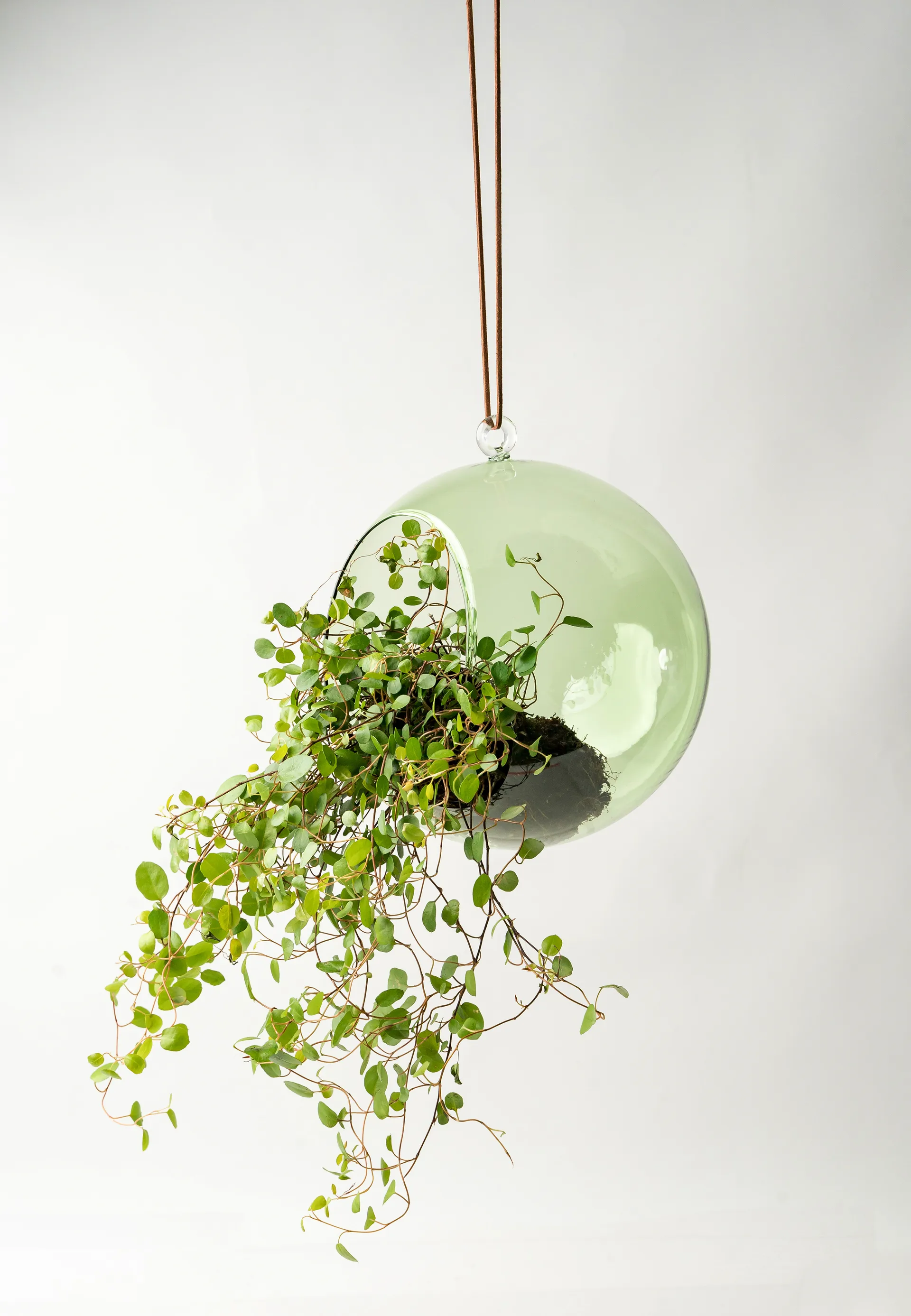 Palla a sospensione decorativa Muurla Ø 12 cm, Verde Muurla