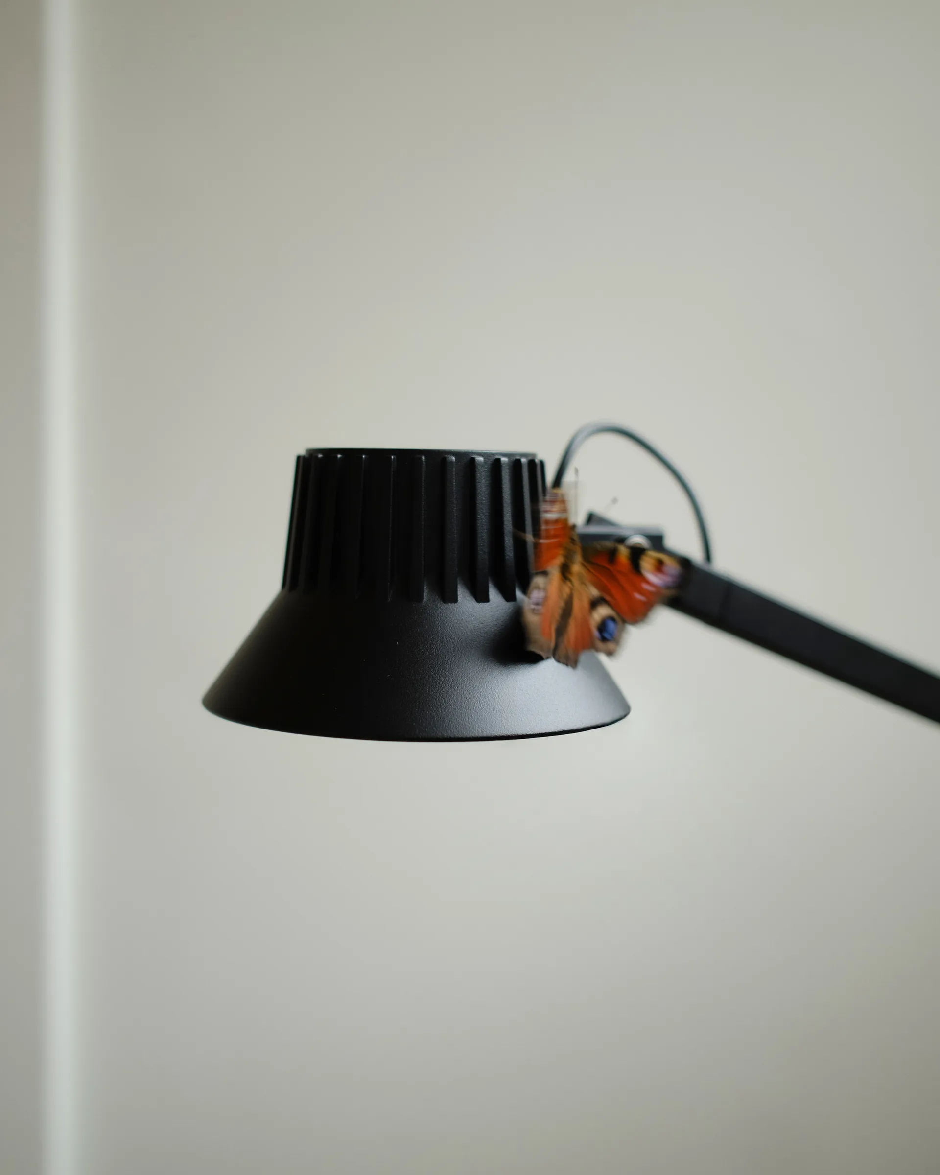 Dedicate lampada da pavimento, Nero, 112 cm Muuto