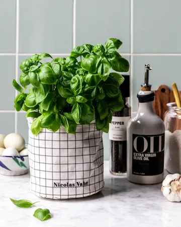 Cesto da stoccaggio Basket - Grigio - Nicolas Vahé