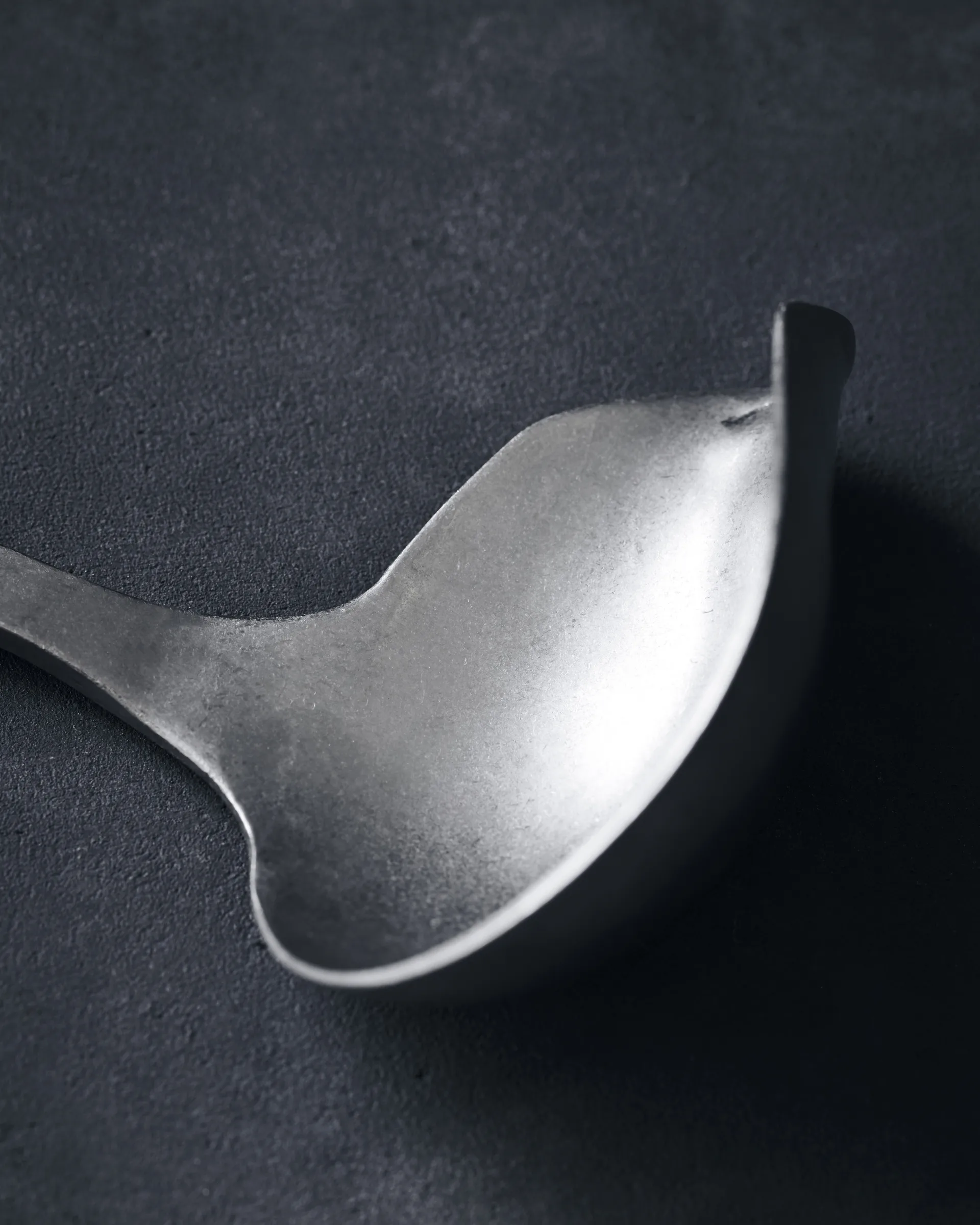 Mestolo in acciaio inox Nicolas Vahé Daily , 25 cm Nicolas Vahé