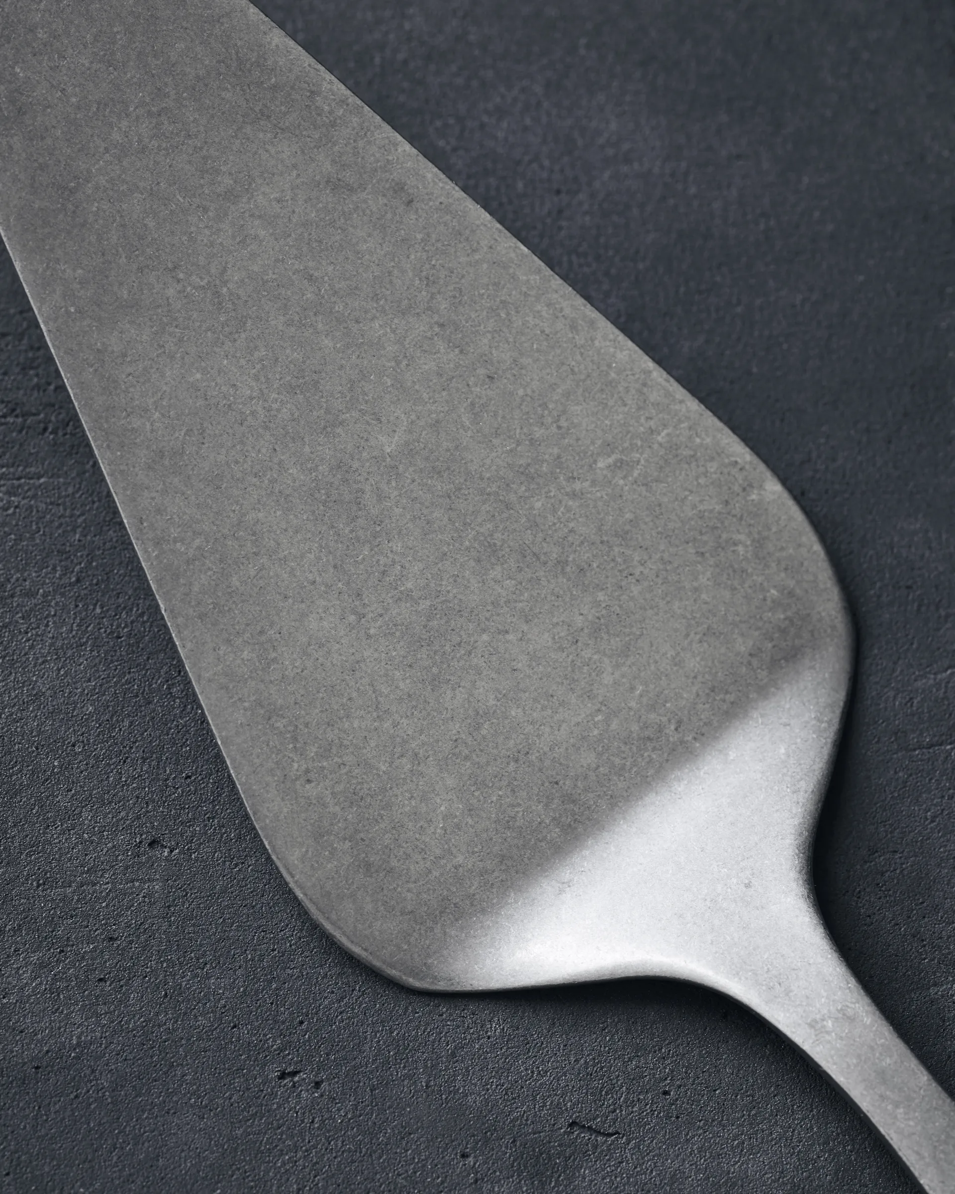 Tagliatorta Nicolas Vahé Daily in acciaio inox, 25 cm Nicolas Vahé