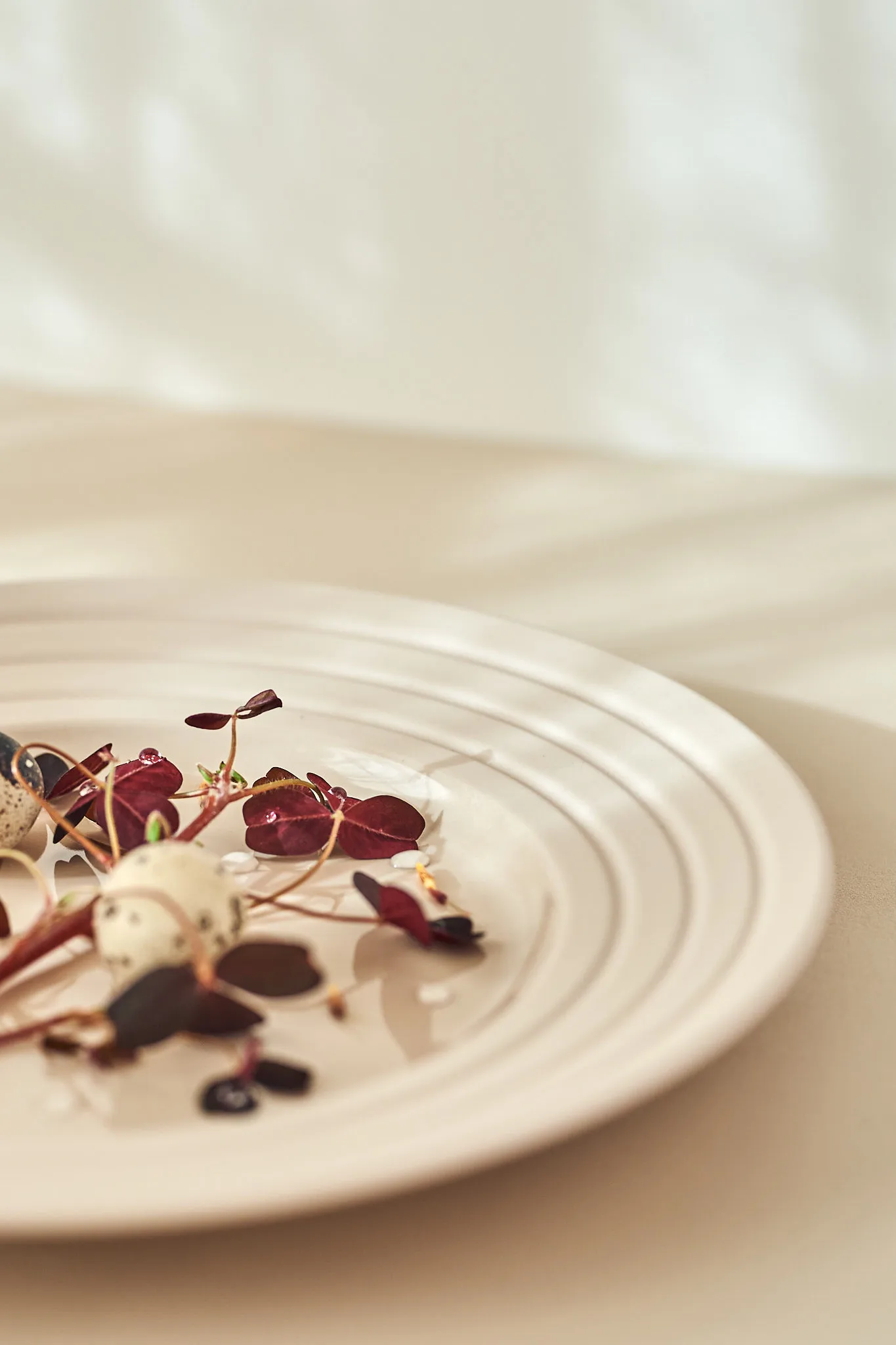 Piatto Lines Ø 27 cm confezione da 6, beige NJRD