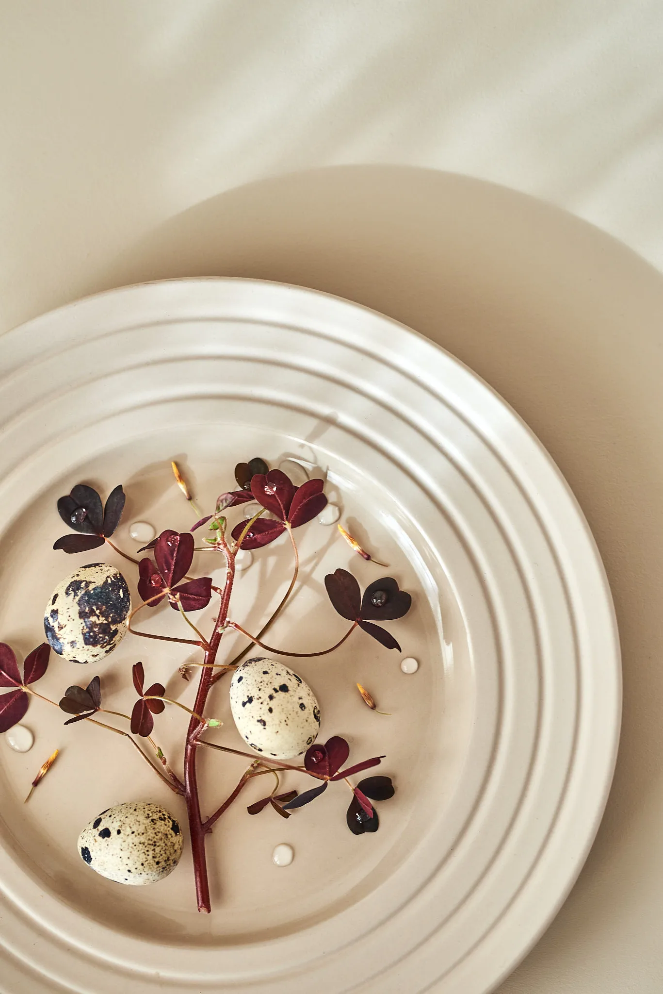 Piatto Lines Ø 27 cm confezione da 6, beige NJRD