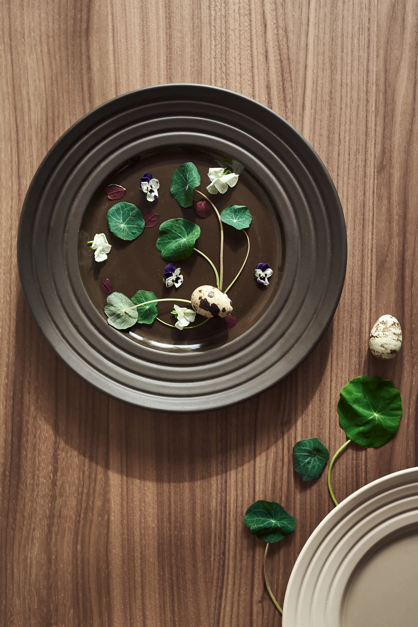 Piatto Lines Ø 27 cm confezione da 6, marrone NJRD