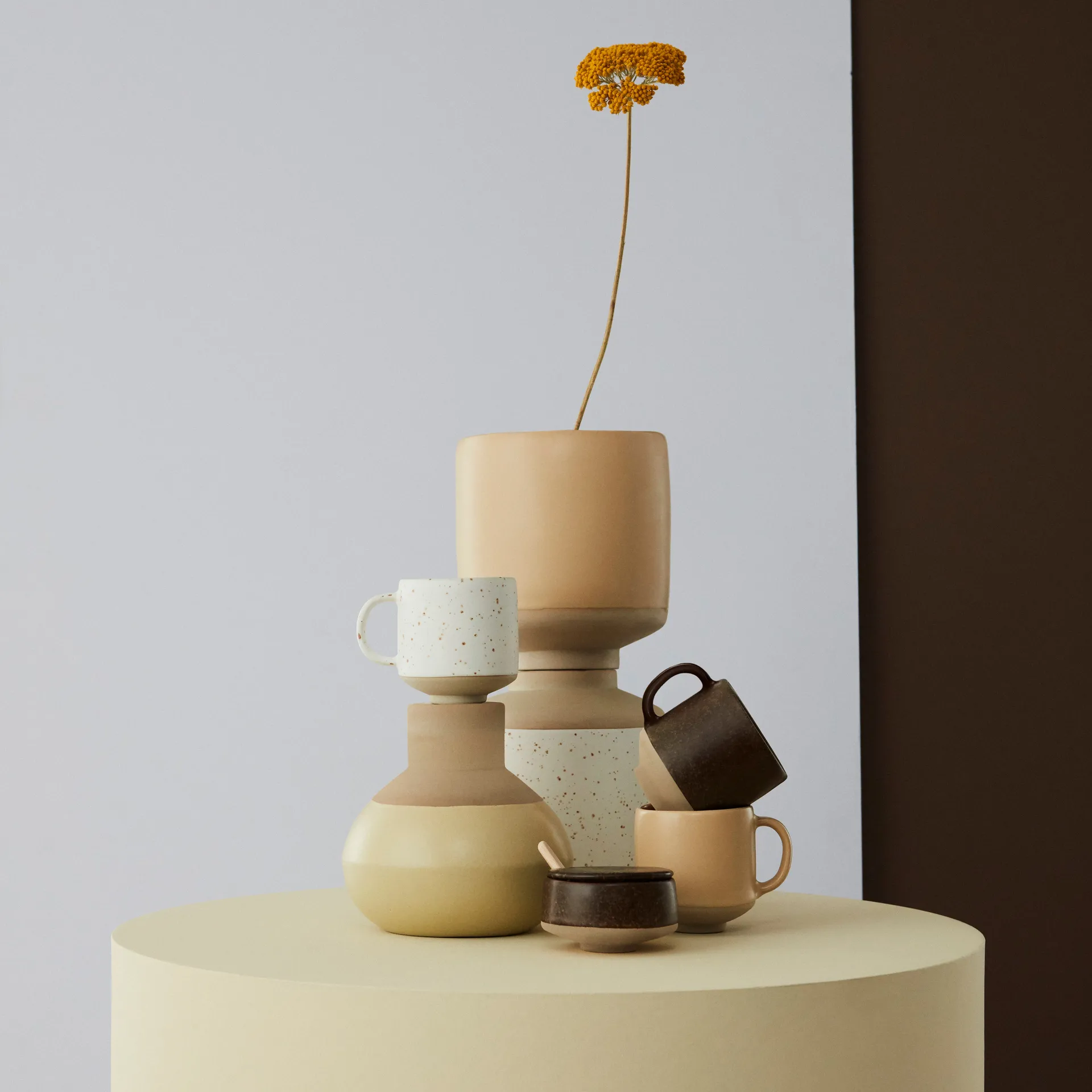 Tazzina Hagi, sahara OYOY