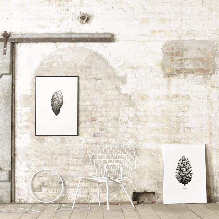 1:1 Poster Pine cone - bianco, 50x70 cm - Paper Collective