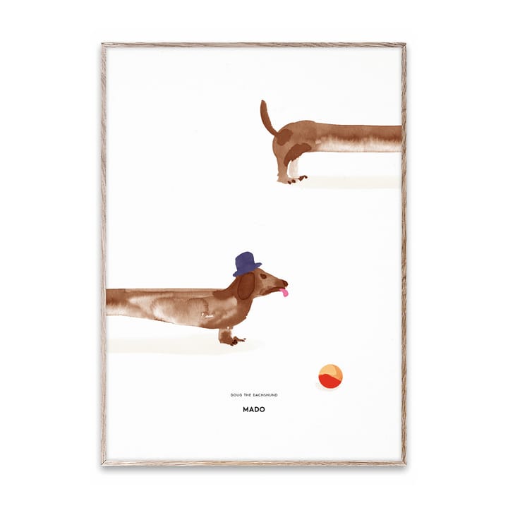 Poster Doug the Dachshund  - 50x70 cm - Paper Collective