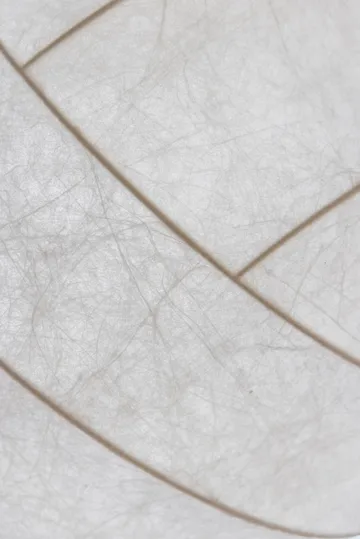 Turner 80 pendel - Bianco - Pholc