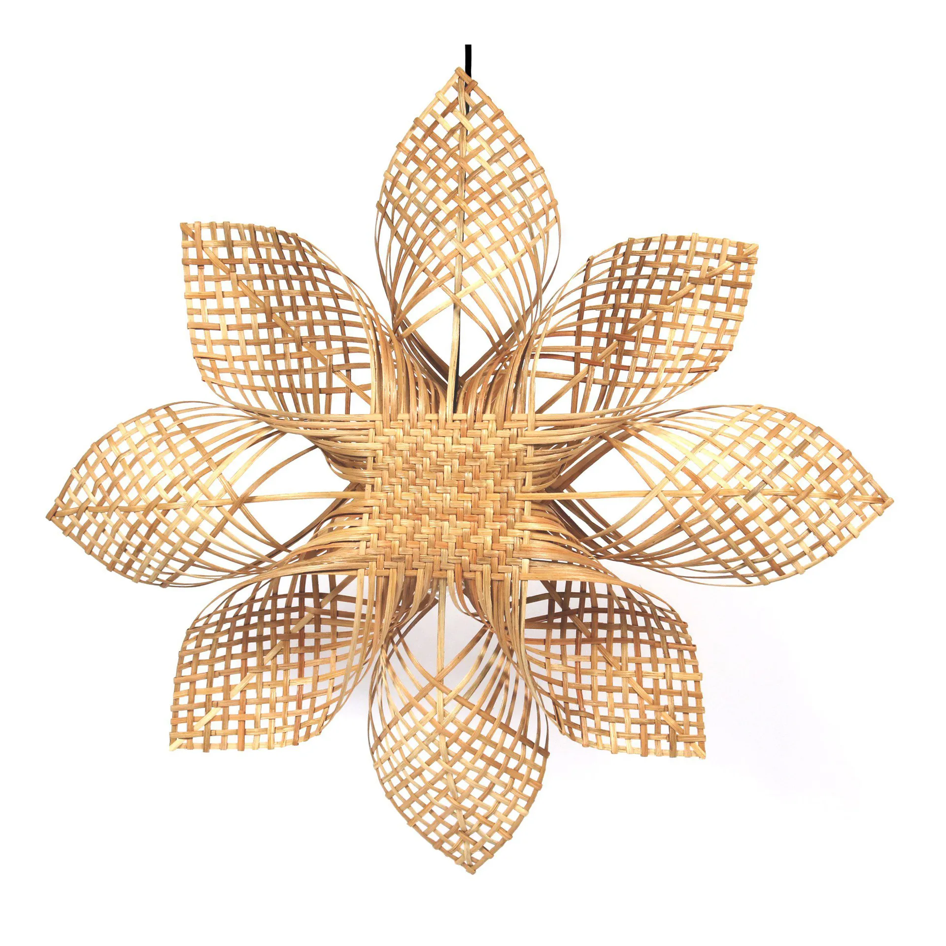 Stella di Natale Anna colore naturale, 68 cm PR Home