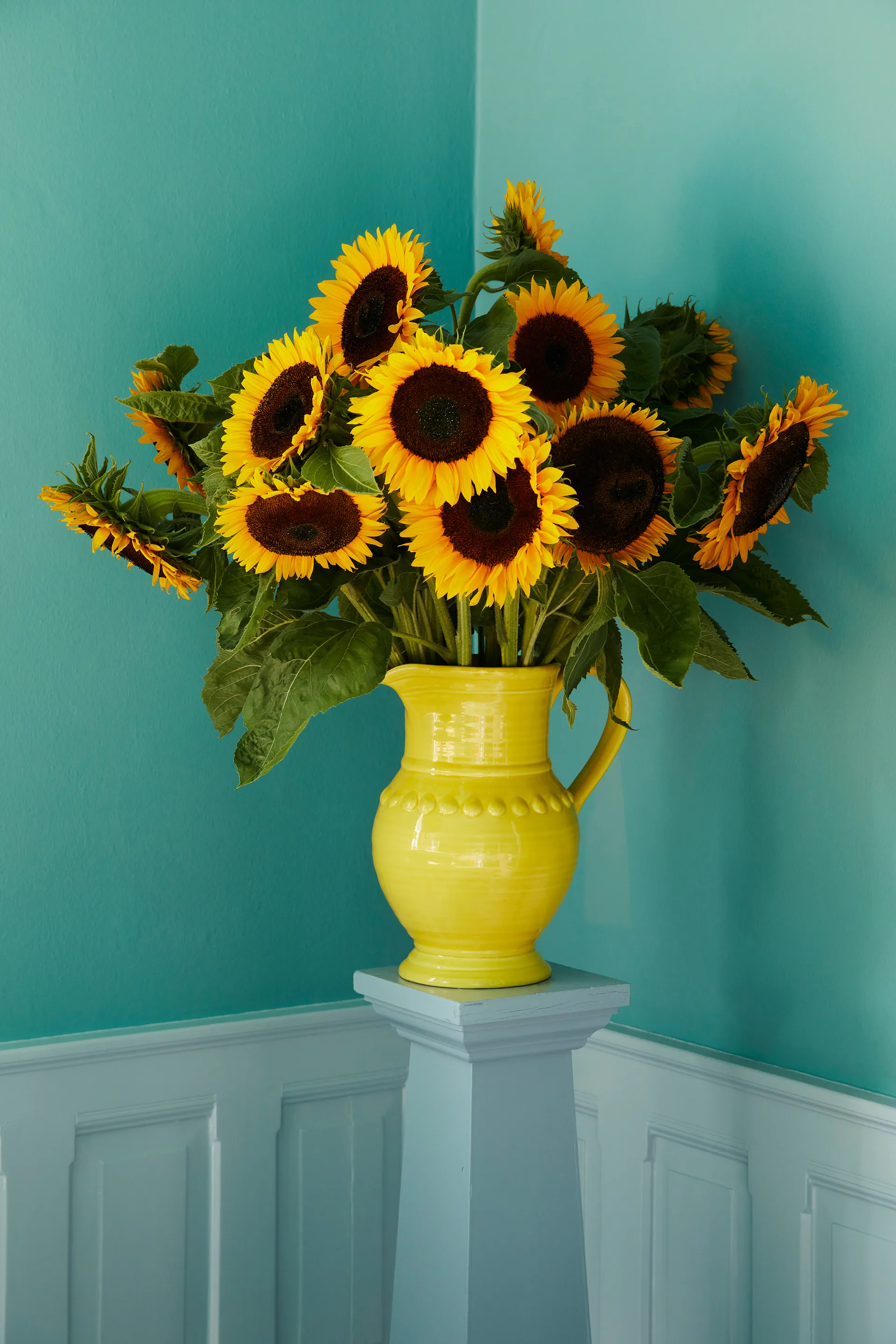 Pentola in ceramica 7,9 litri, Giallo RICE