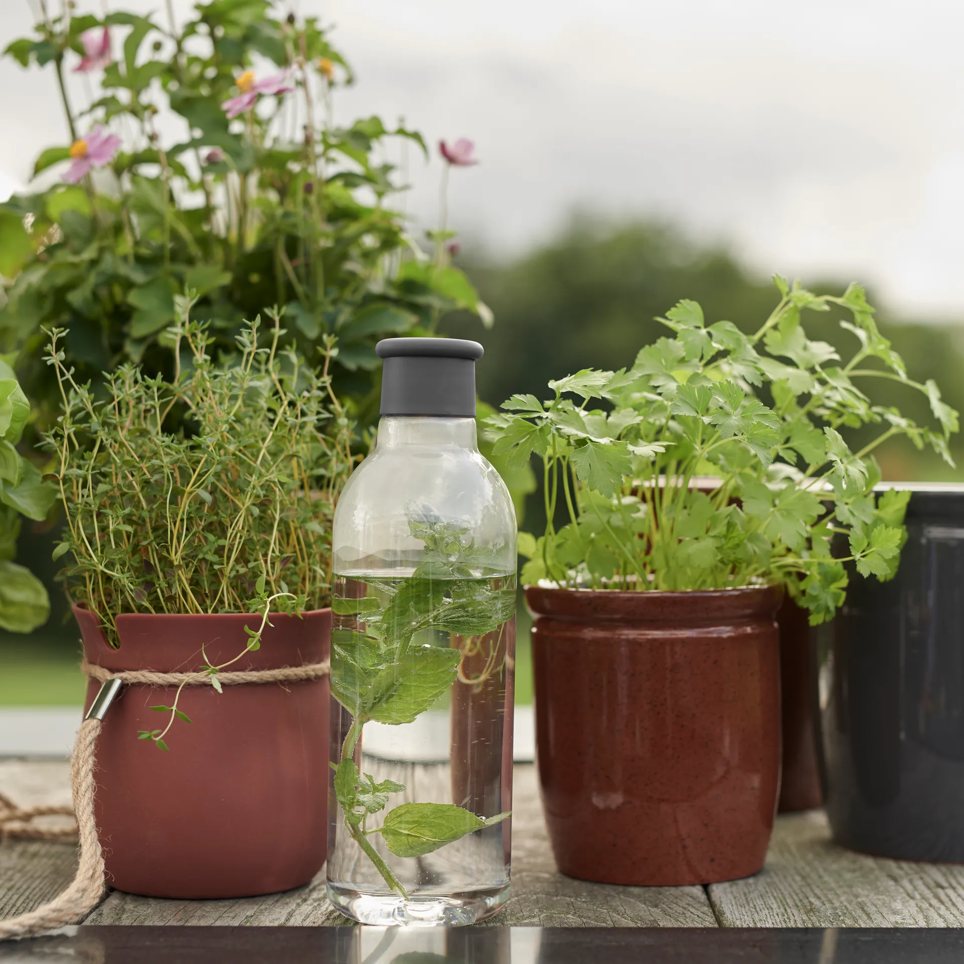 Bottiglia DRINK-IT 0,75 litri, Grigio RIG-TIG