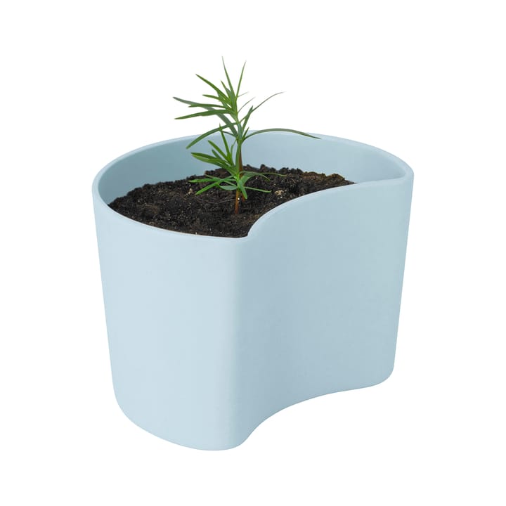 Vaso con semi YOUR TREE - Blu (pino) - RIG-TIG