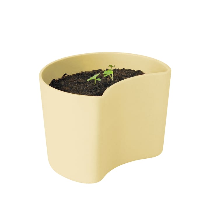 Vaso con semi YOUR TREE - Giallo (faggio) - RIG-TIG