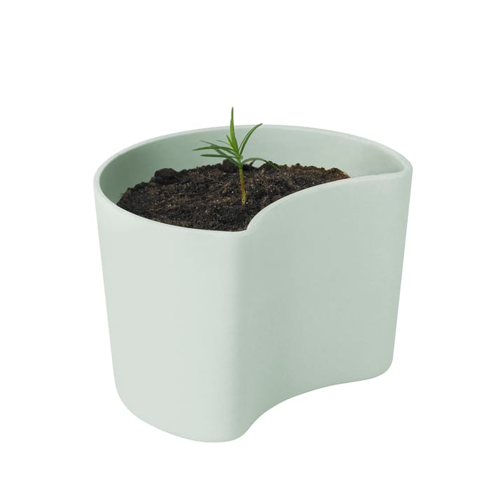 Vaso con semi YOUR TREE - Green (pino) - RIG-TIG