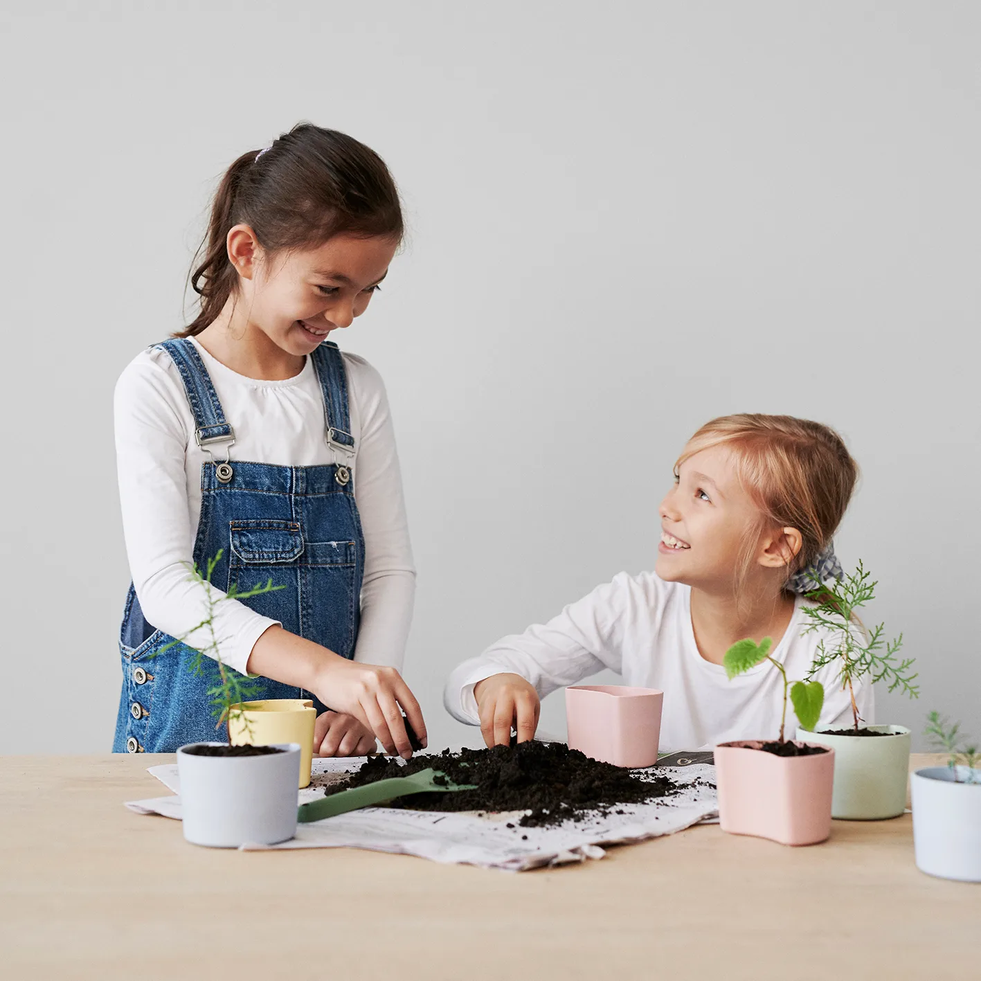 Vaso con semi YOUR TREE, Pink (faggio) RIG-TIG