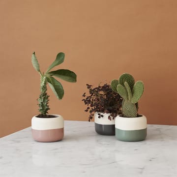Vaso per erbe aromatiche Plant-It - dusty green - RIG-TIG
